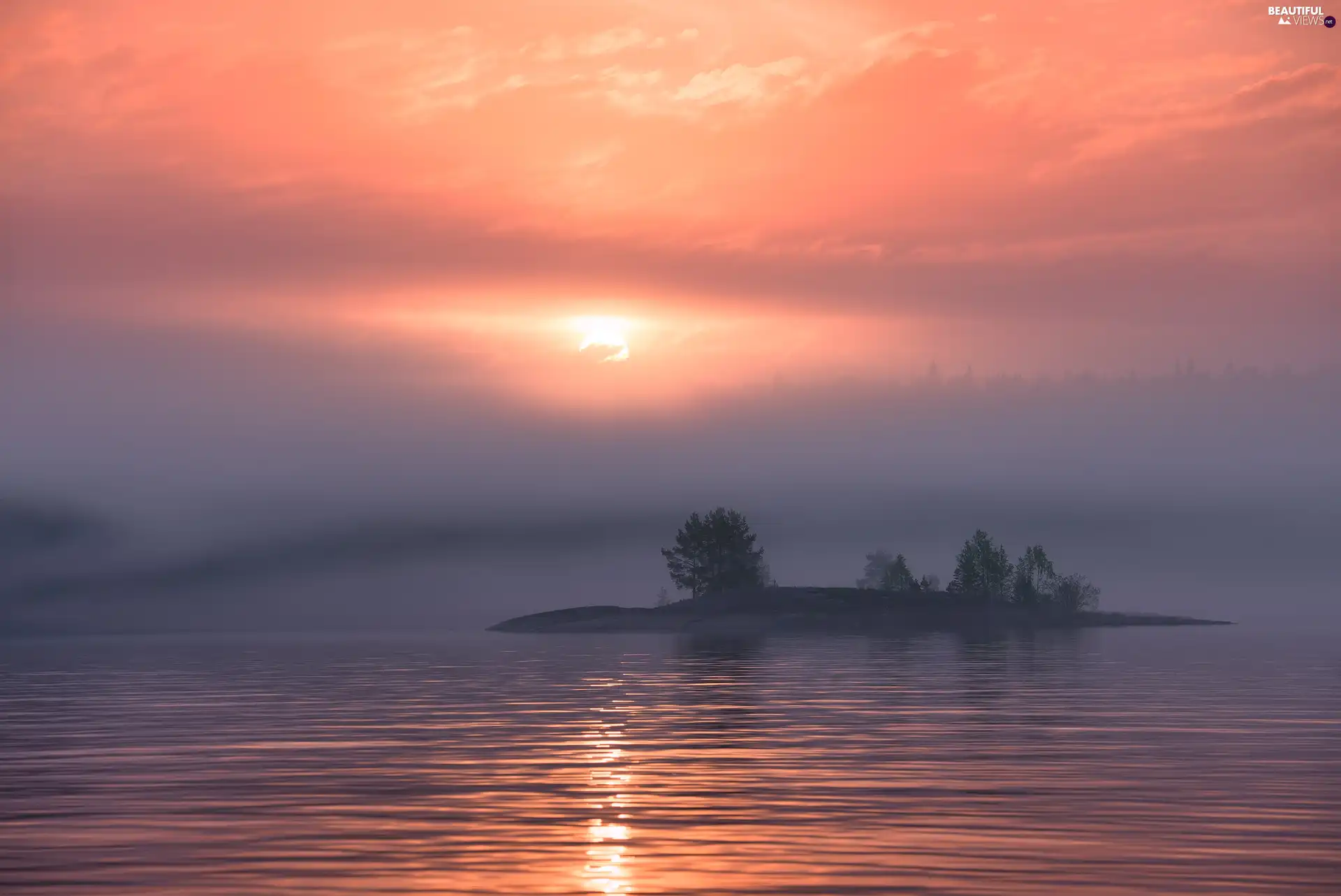 trees, Island, Karelia, Great Sunsets, Lake Ladoga, viewes, Russia