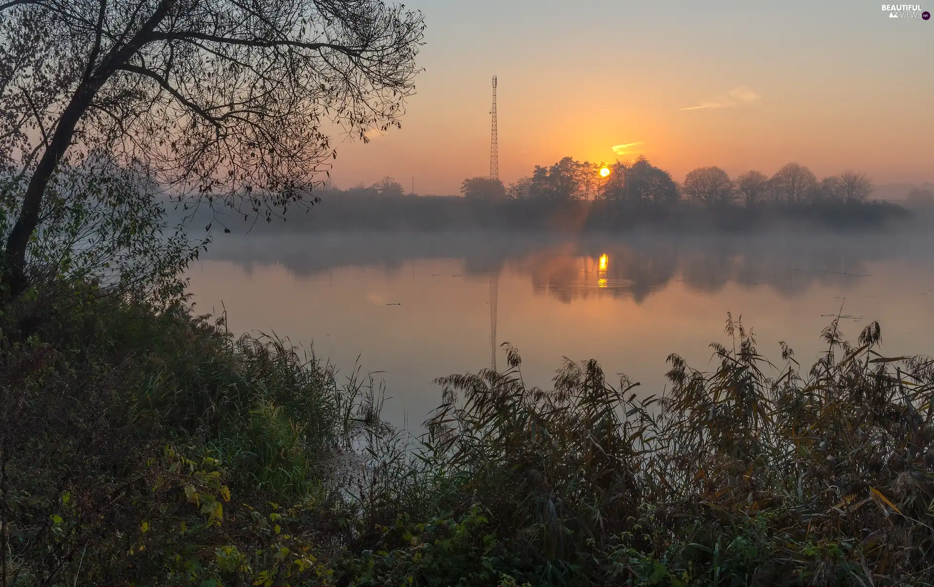 lake, Sunrise, Fog, trees