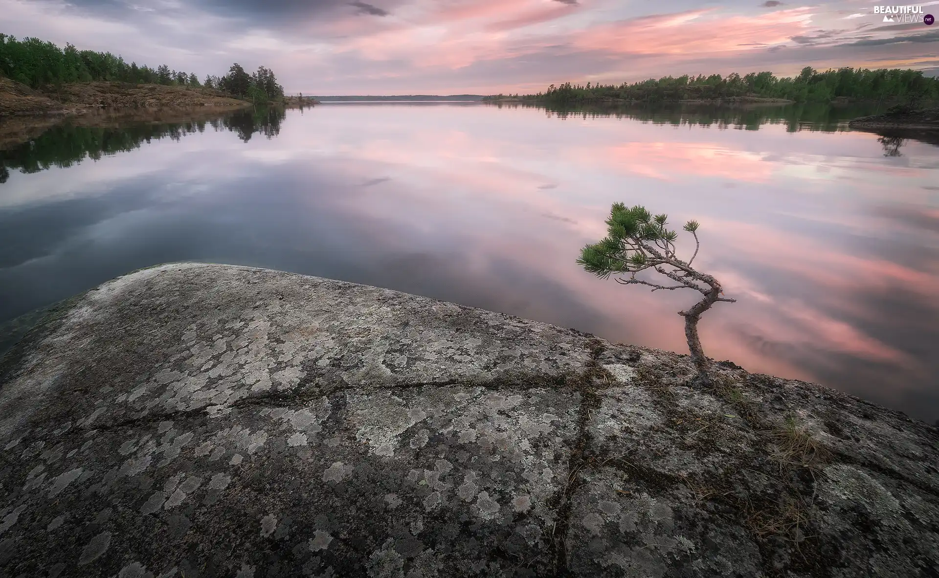 lake, viewes, Rocks, trees
