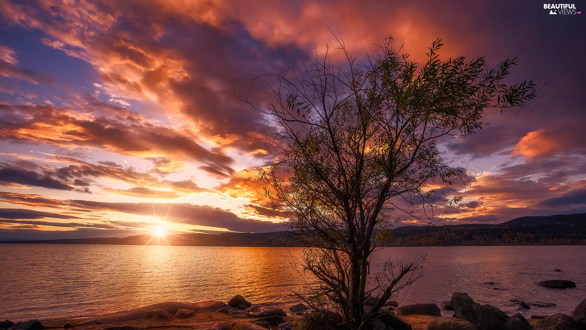 lake, Great Sunsets, trees, clouds