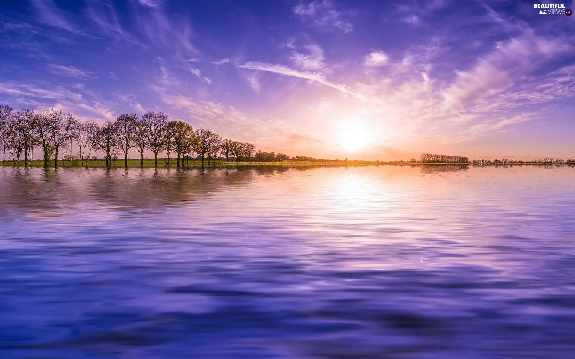 Sky, Great Sunsets, trees, viewes, lake