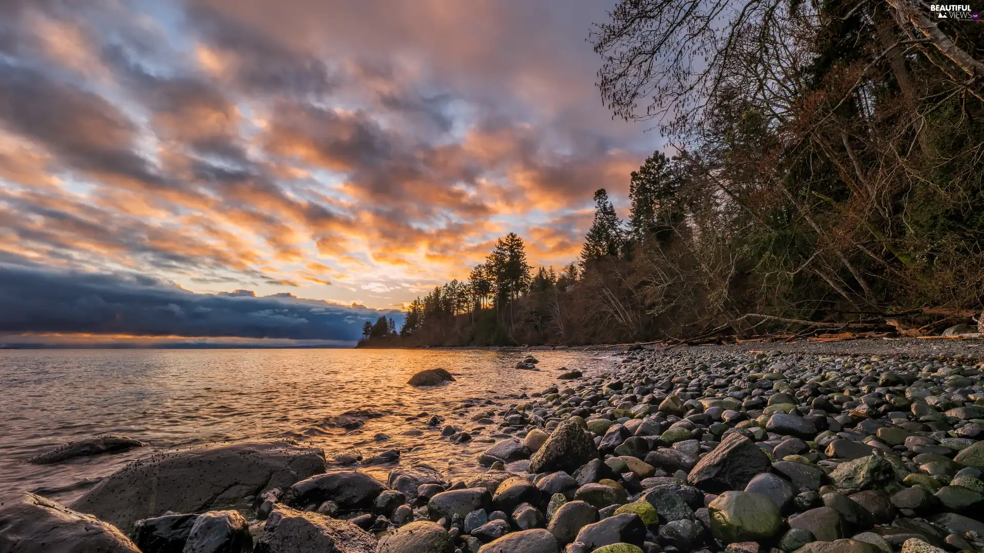 Stones, Great Sunsets, trees, viewes, lake