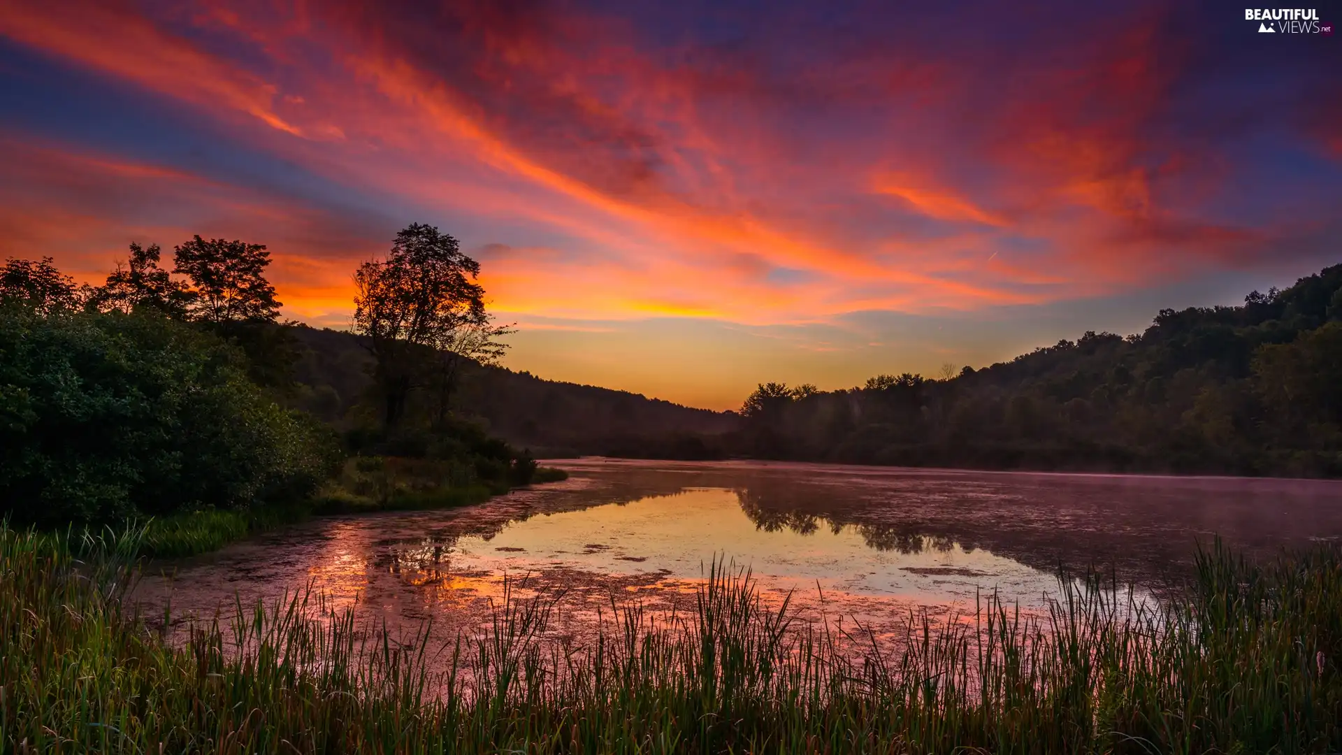 VEGETATION, Great Sunsets, trees, viewes, lake