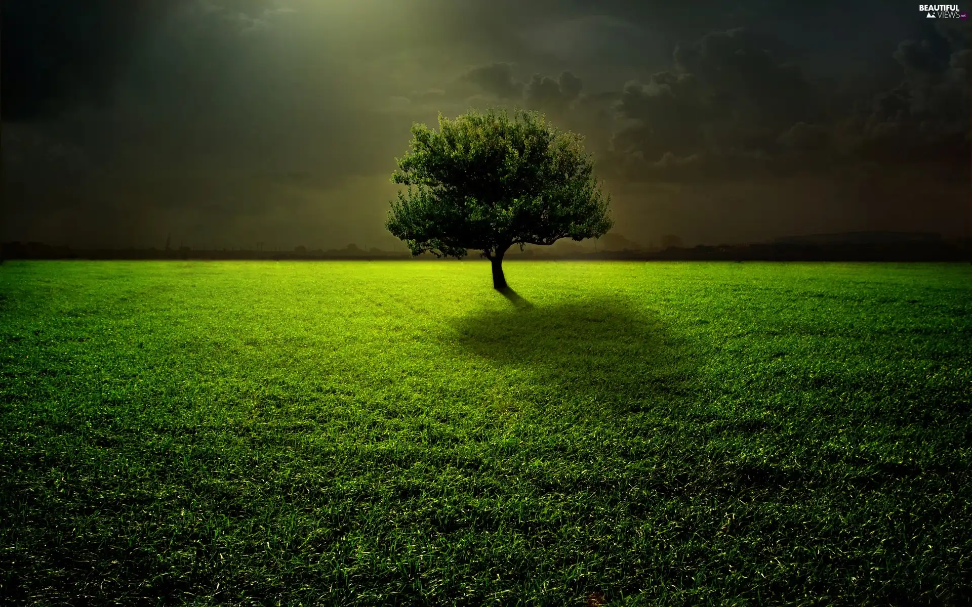 trees, clouds, Meadow