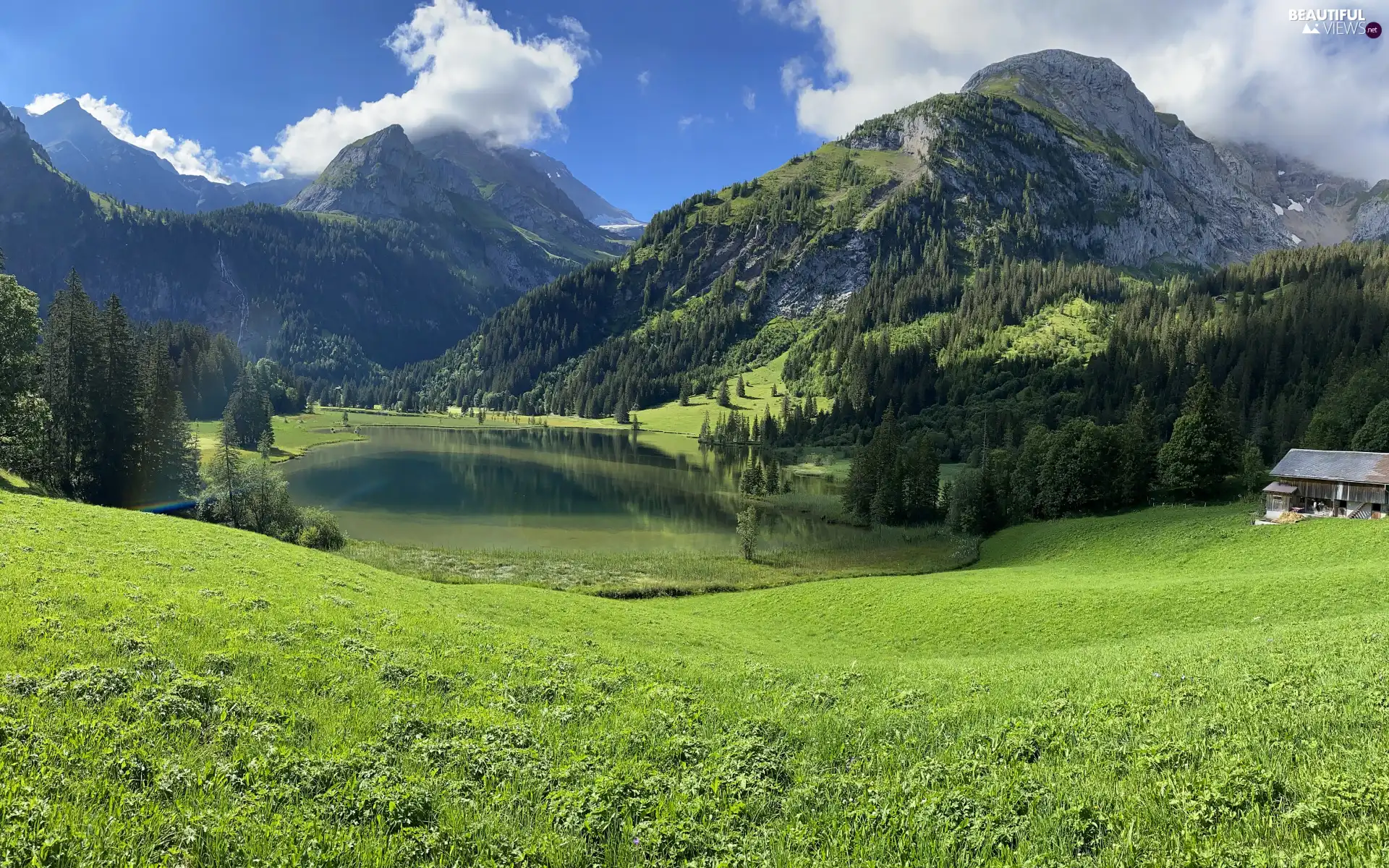 viewes, forest, Meadow, trees, Mountains, lake, house