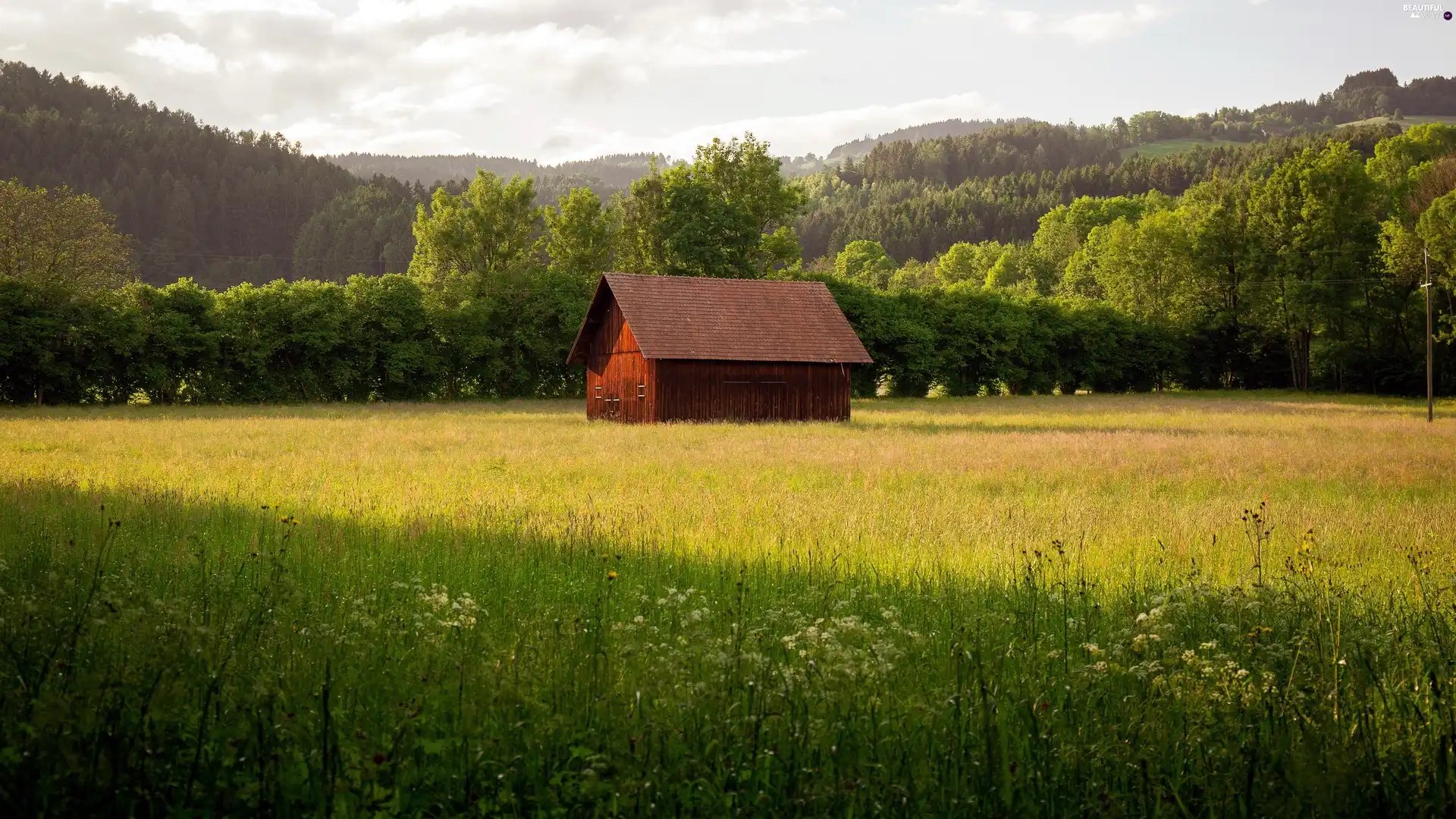 Meadow, Flowers, Mountains, woods, viewes, cote, house, trees