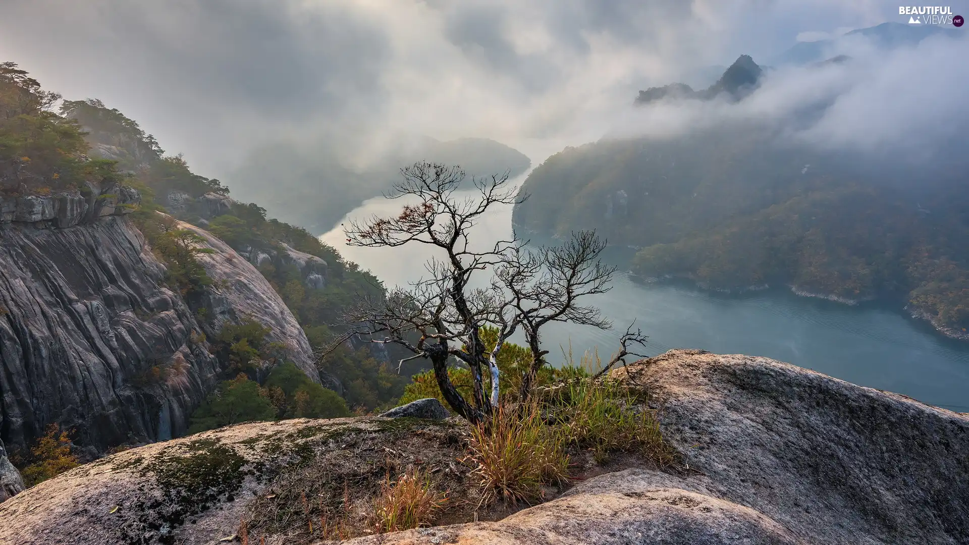 River, autumn, Rocks, trees, Fog, Mountains