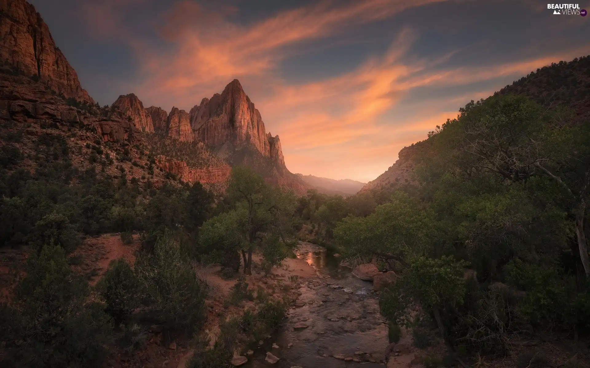 Stones, Zion National Park, viewes, trees, Virgin River, The United States, Great Sunsets, River, Utah, rocks, Mountain Watchman