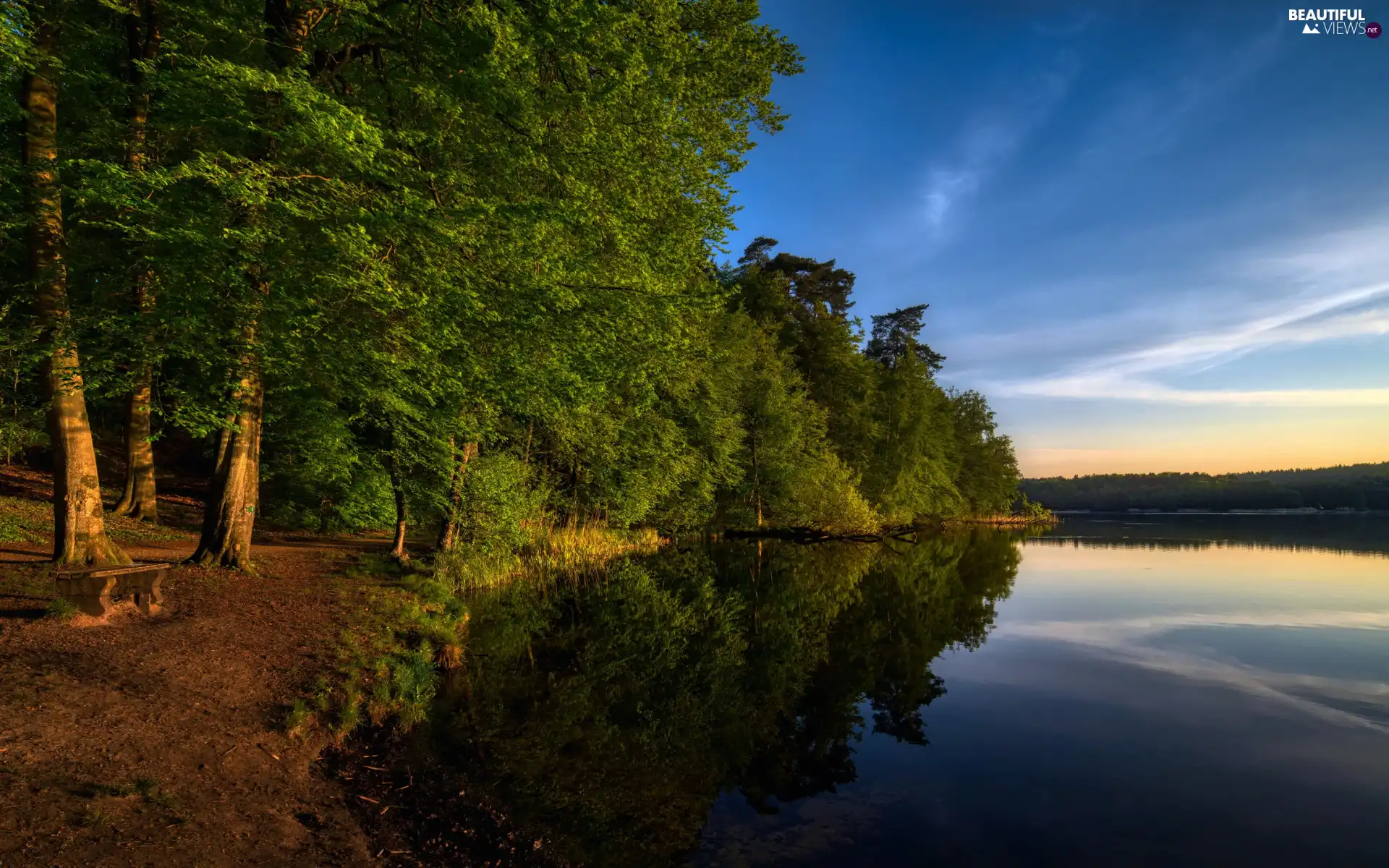 viewes, green ones, lake, Great Sunsets, Bench, trees