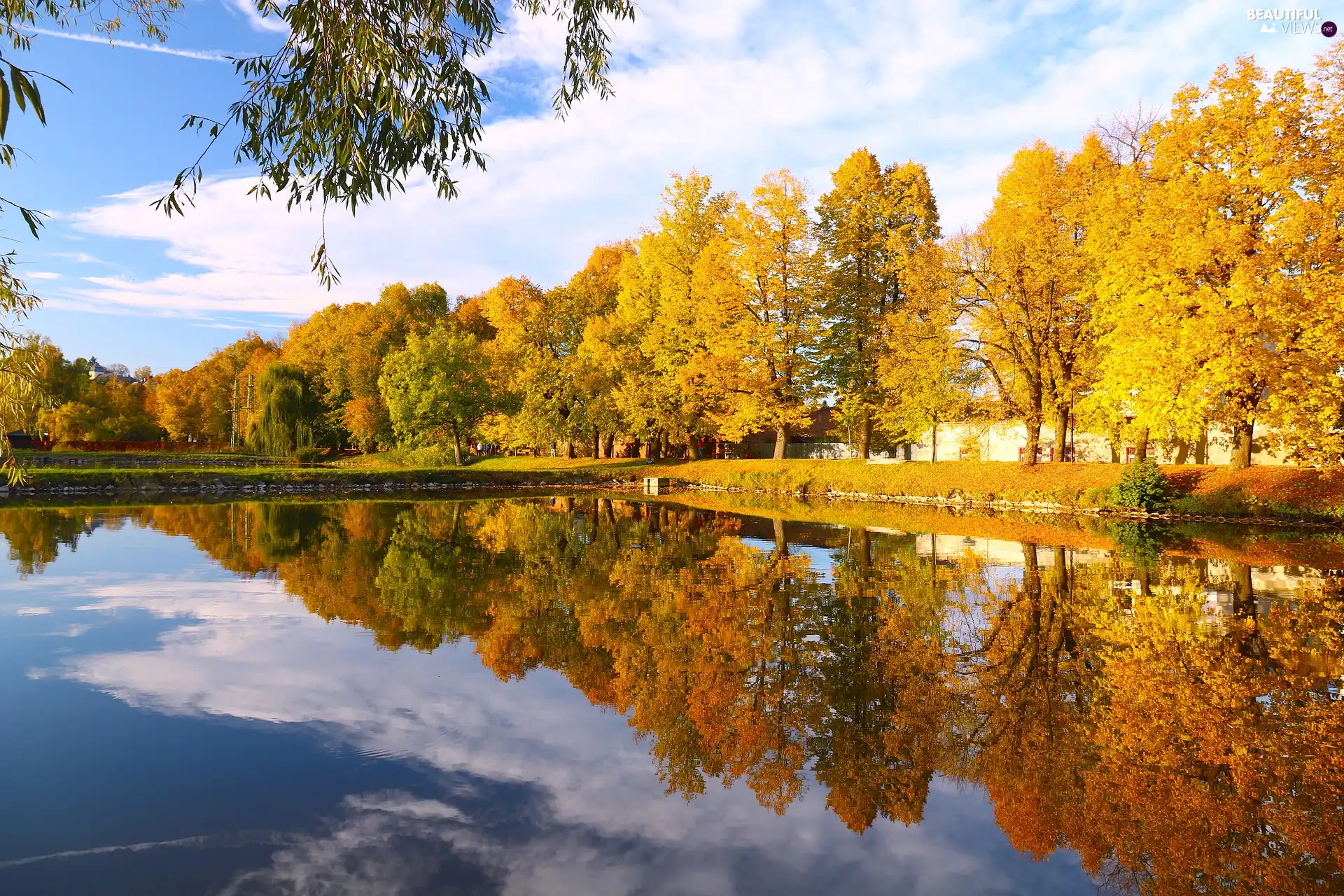 Pond - car, Park, trees, viewes, reflection, autumn