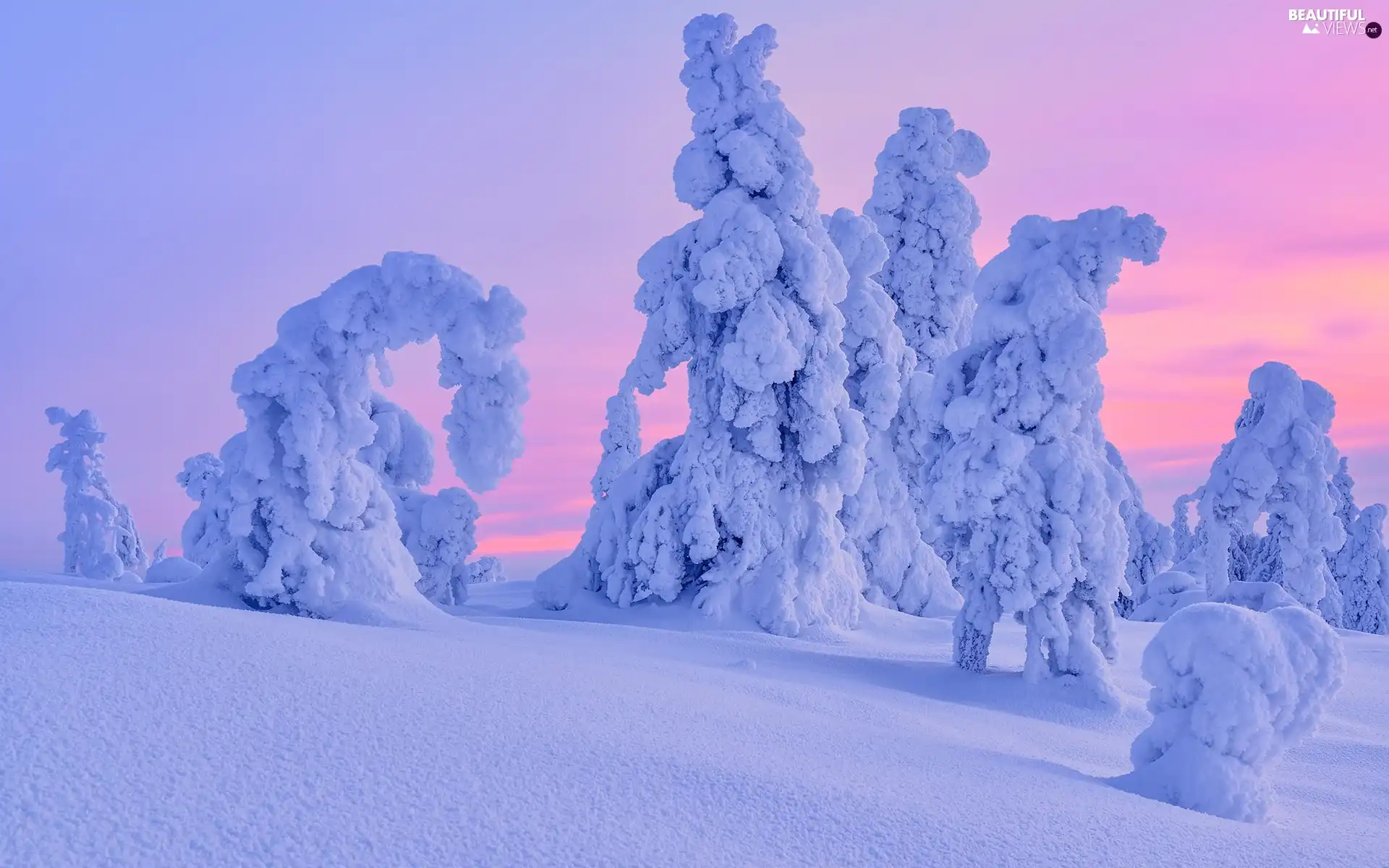 viewes, snowy, Pinkish, trees, winter, snow, Sky