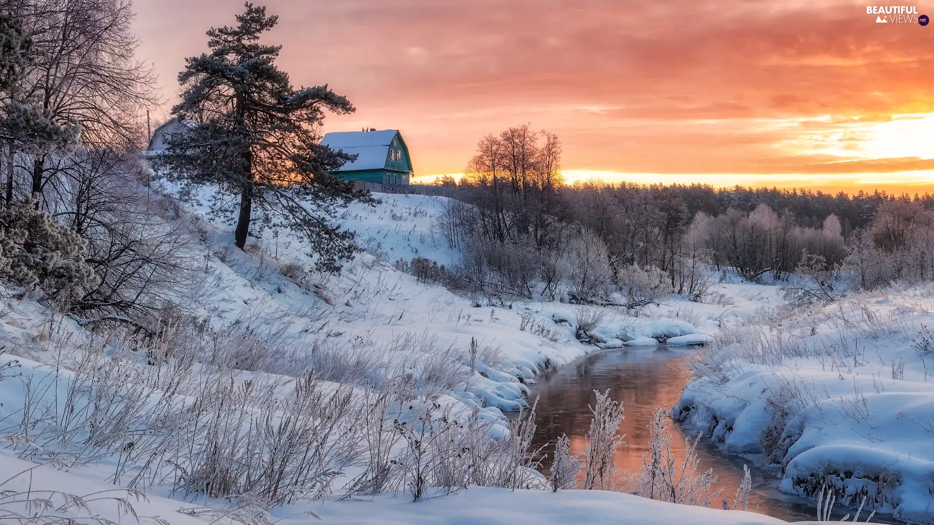 trees, viewes, Great Sunsets, River, house, Plants, Snowy, scarp