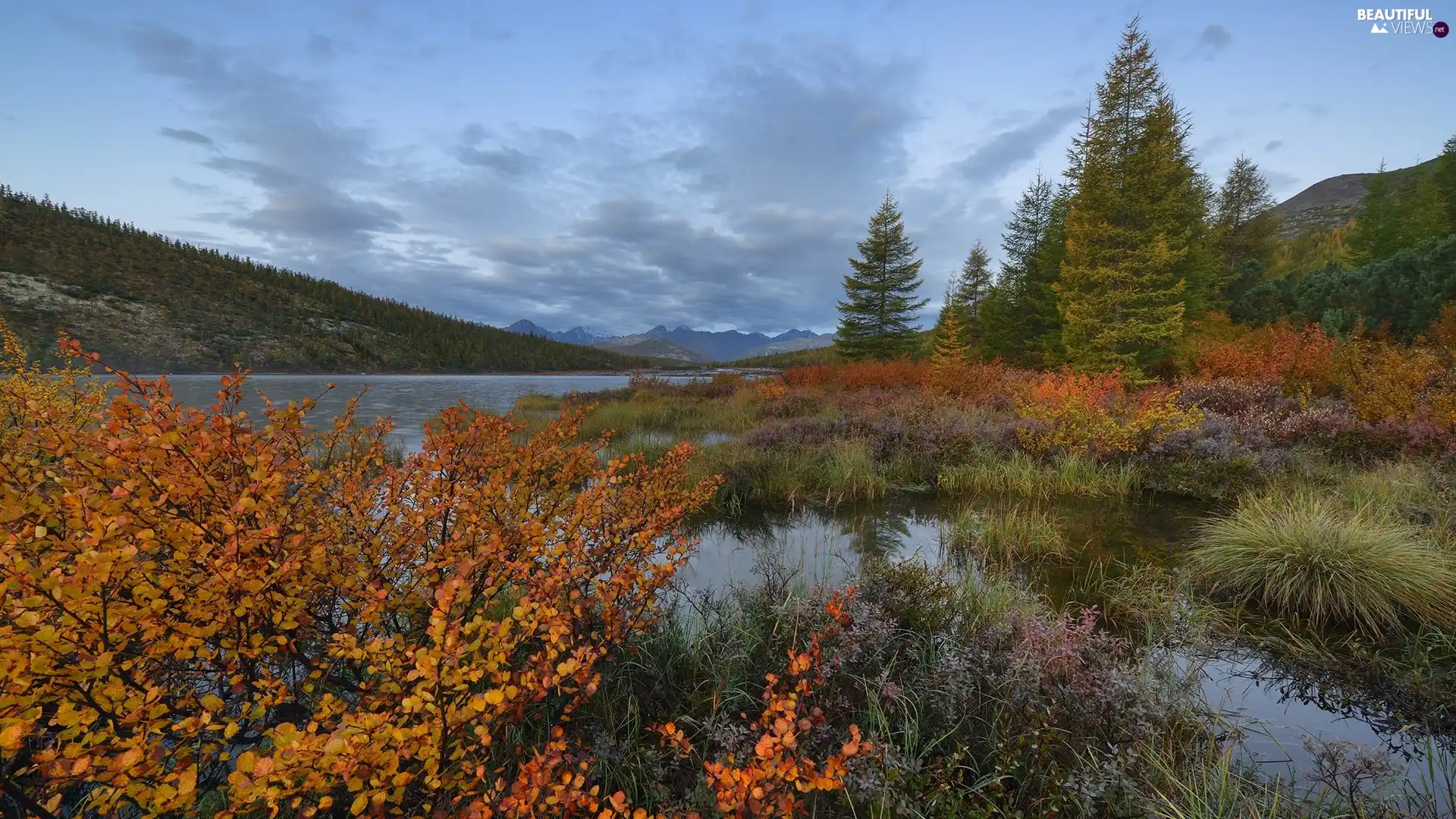viewes, River, Plants, trees, Mountains, Bush, autumn