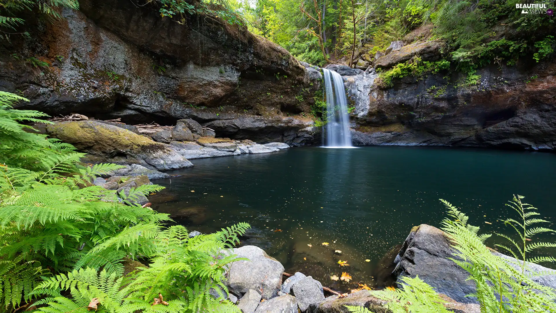 Stones, rocks, Plants, fern, viewes, mossy, waterfall, trees