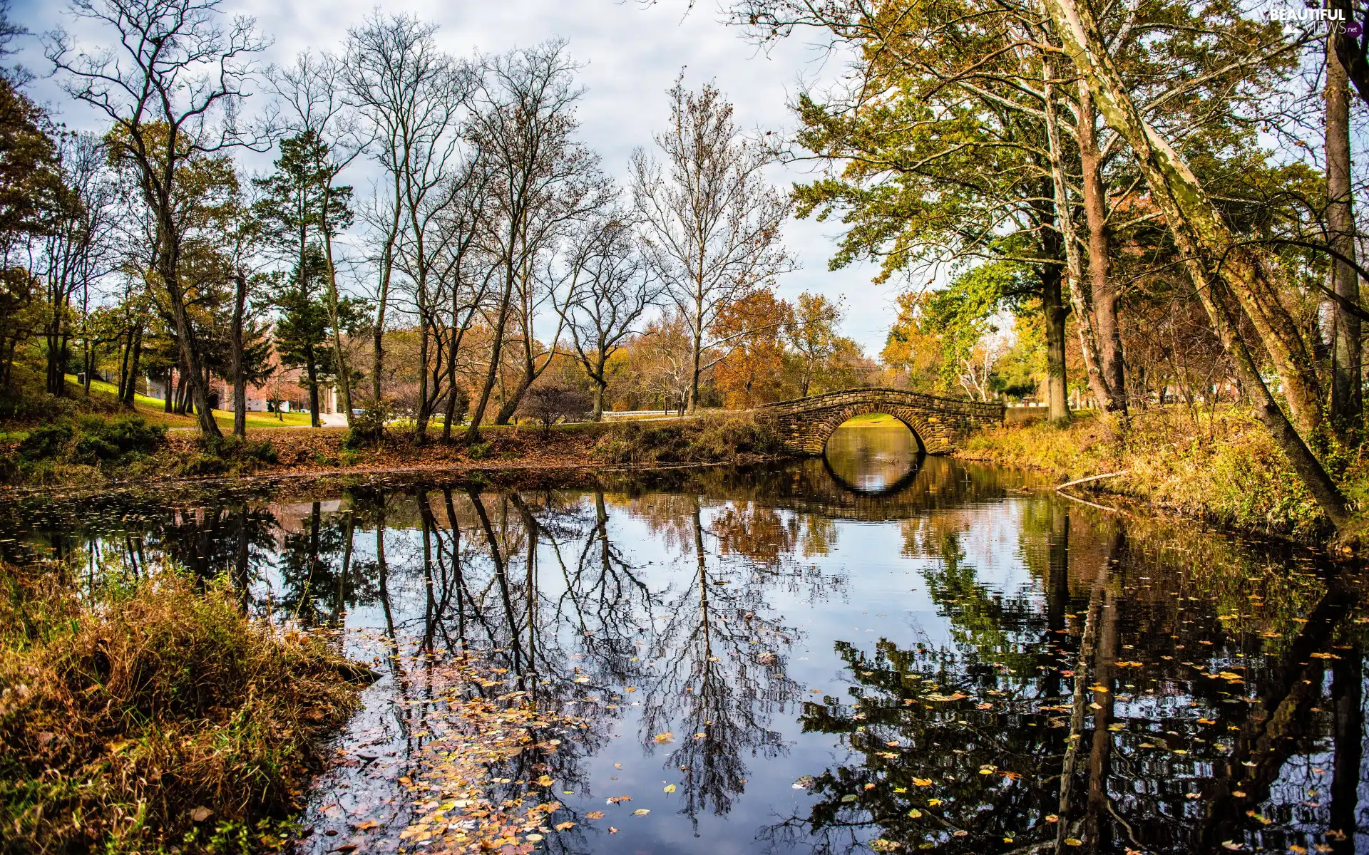 trees, viewes, autumn, Leaf, reflection, bridge, Pond - car, Park