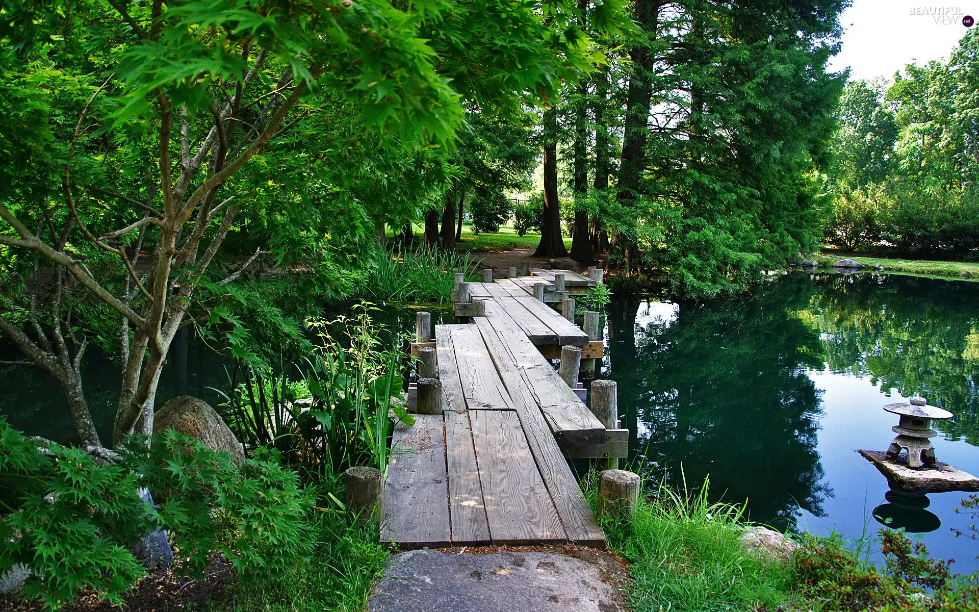 trees, viewes, Pond - car, footbridge, Garden