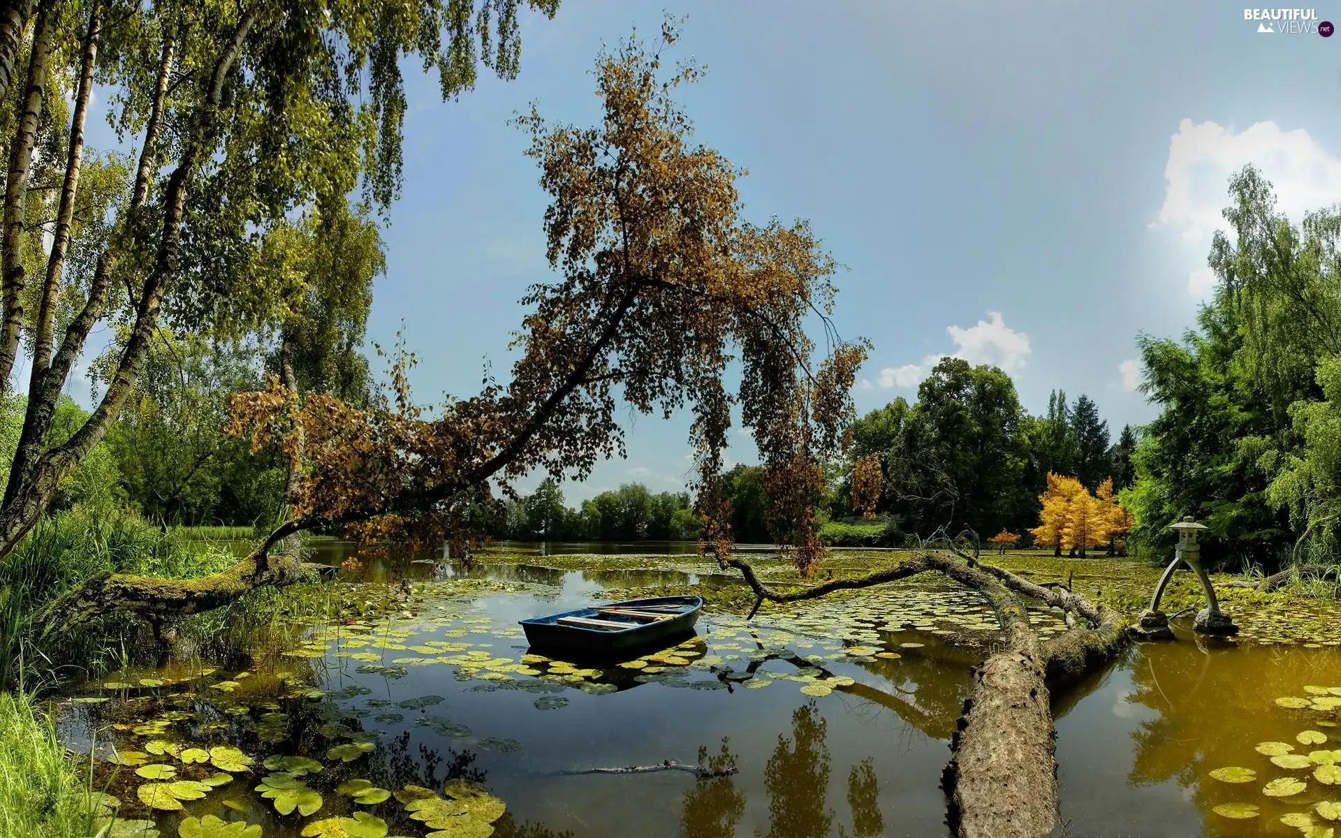 trees, viewes, Pond - car, Lodz, summer