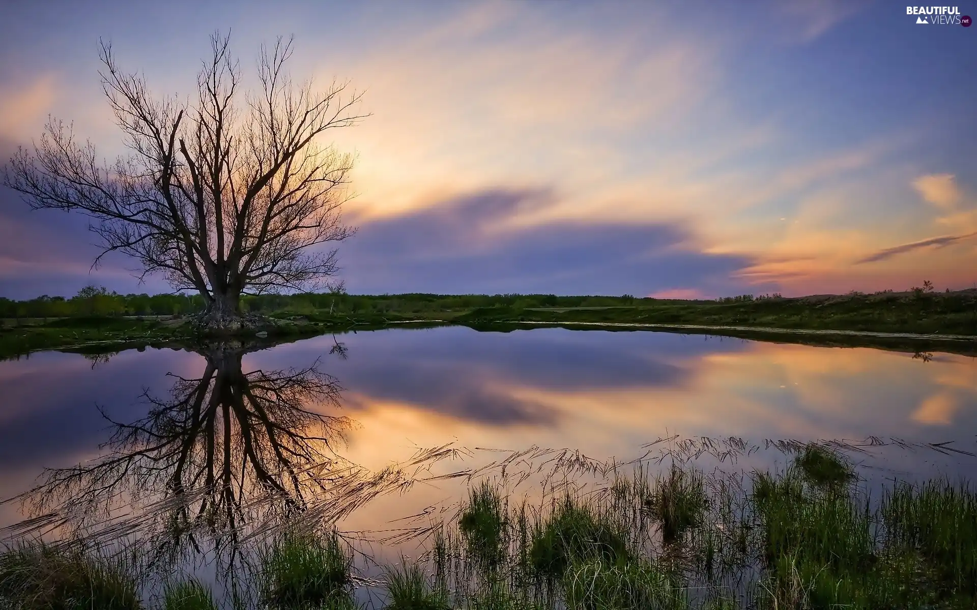 sun, lake, trees, reflection, lonely, west