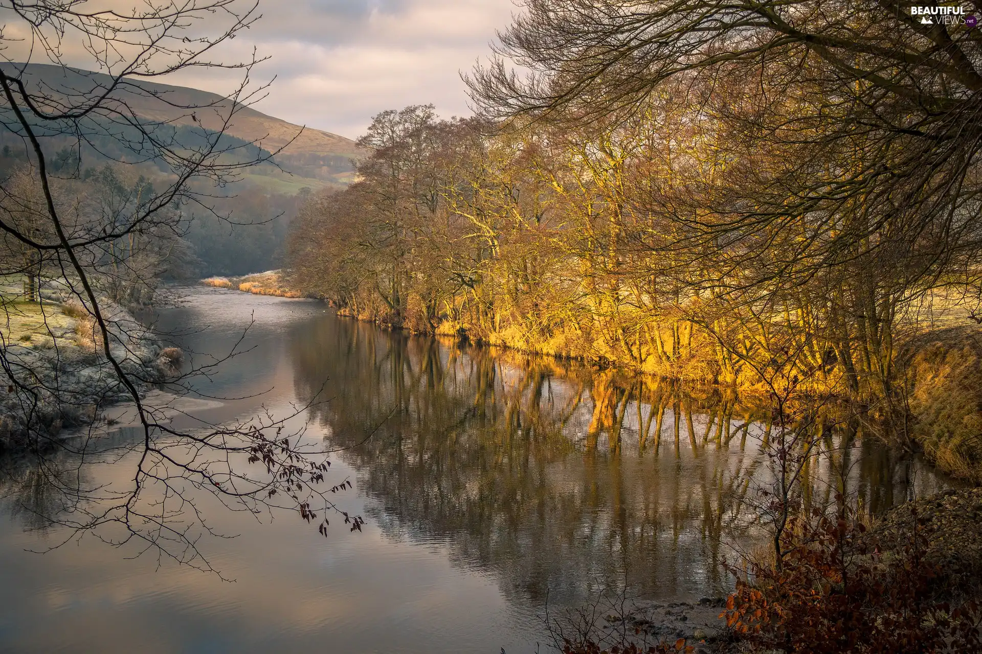 The Hills, autumn, trees, viewes, River