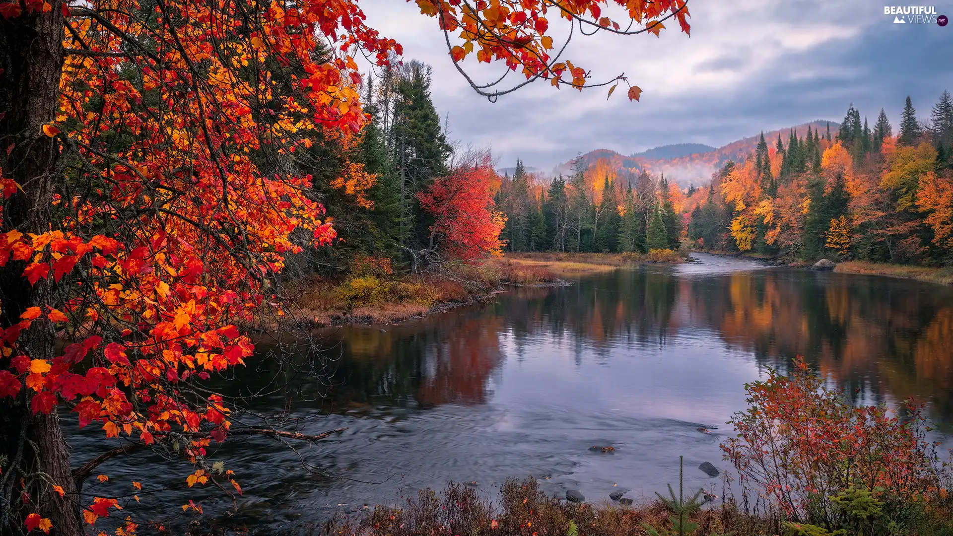 viewes, color, River, trees, autumn, forest, Mountains