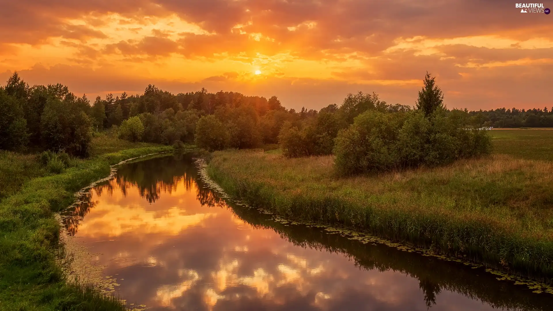 Bush, Great Sunsets, trees, viewes, River