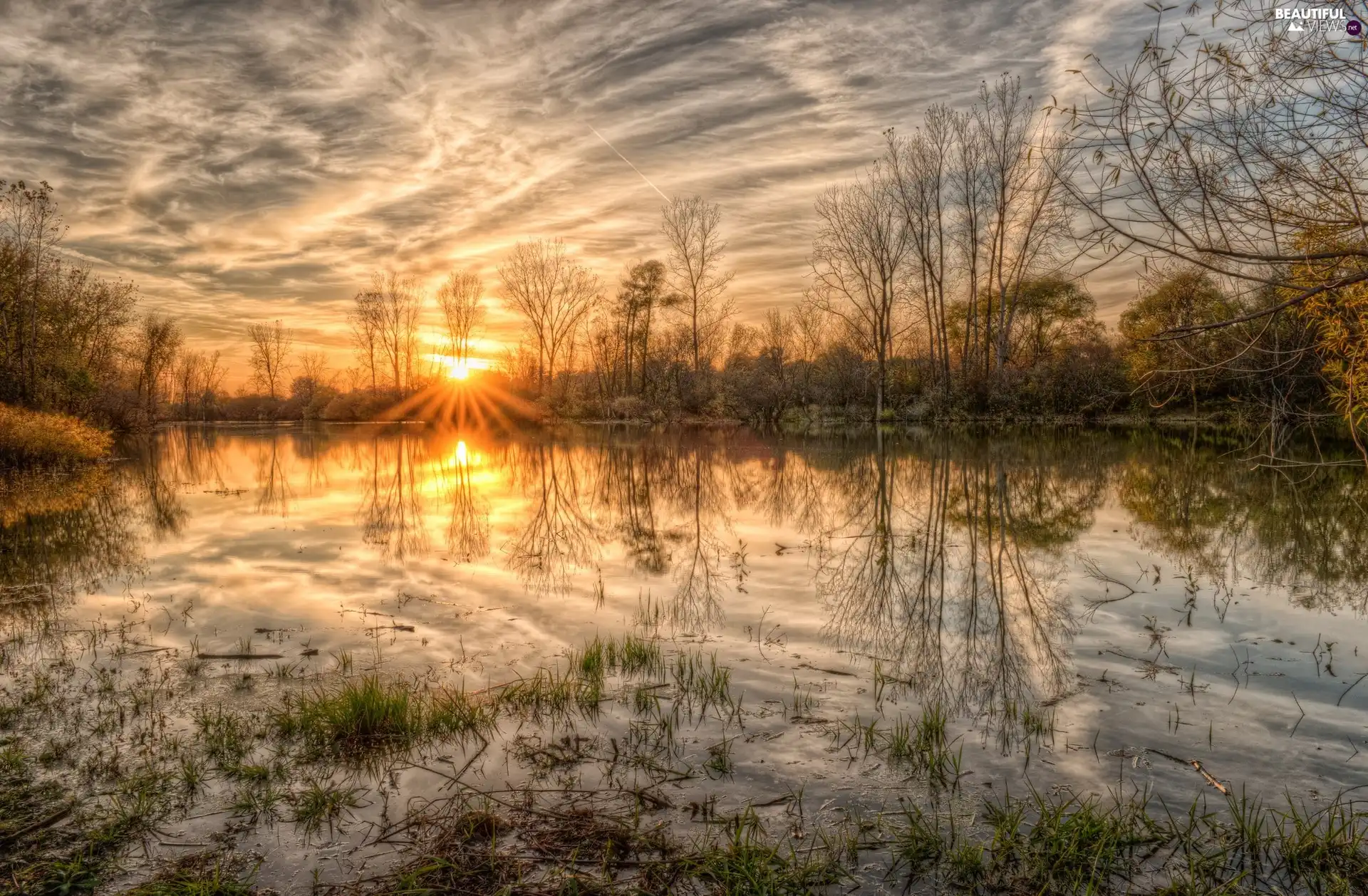 Plants, Great Sunsets, trees, viewes, River