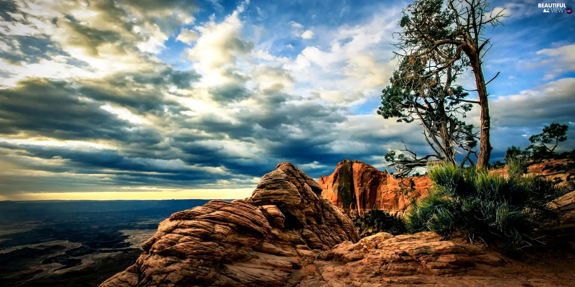 trees, Rocks, canyon, clouds, sea