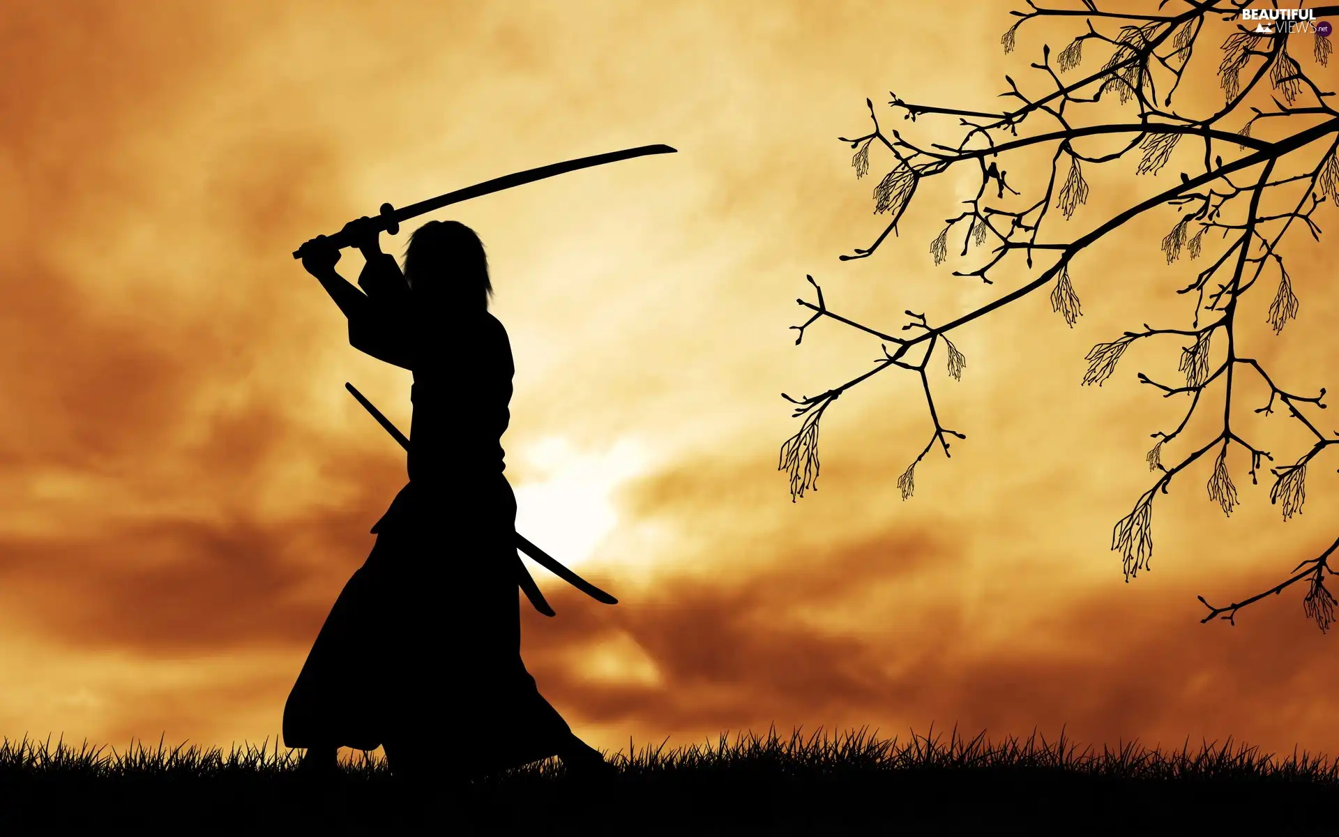 trees, samurai, west, sun, graphics