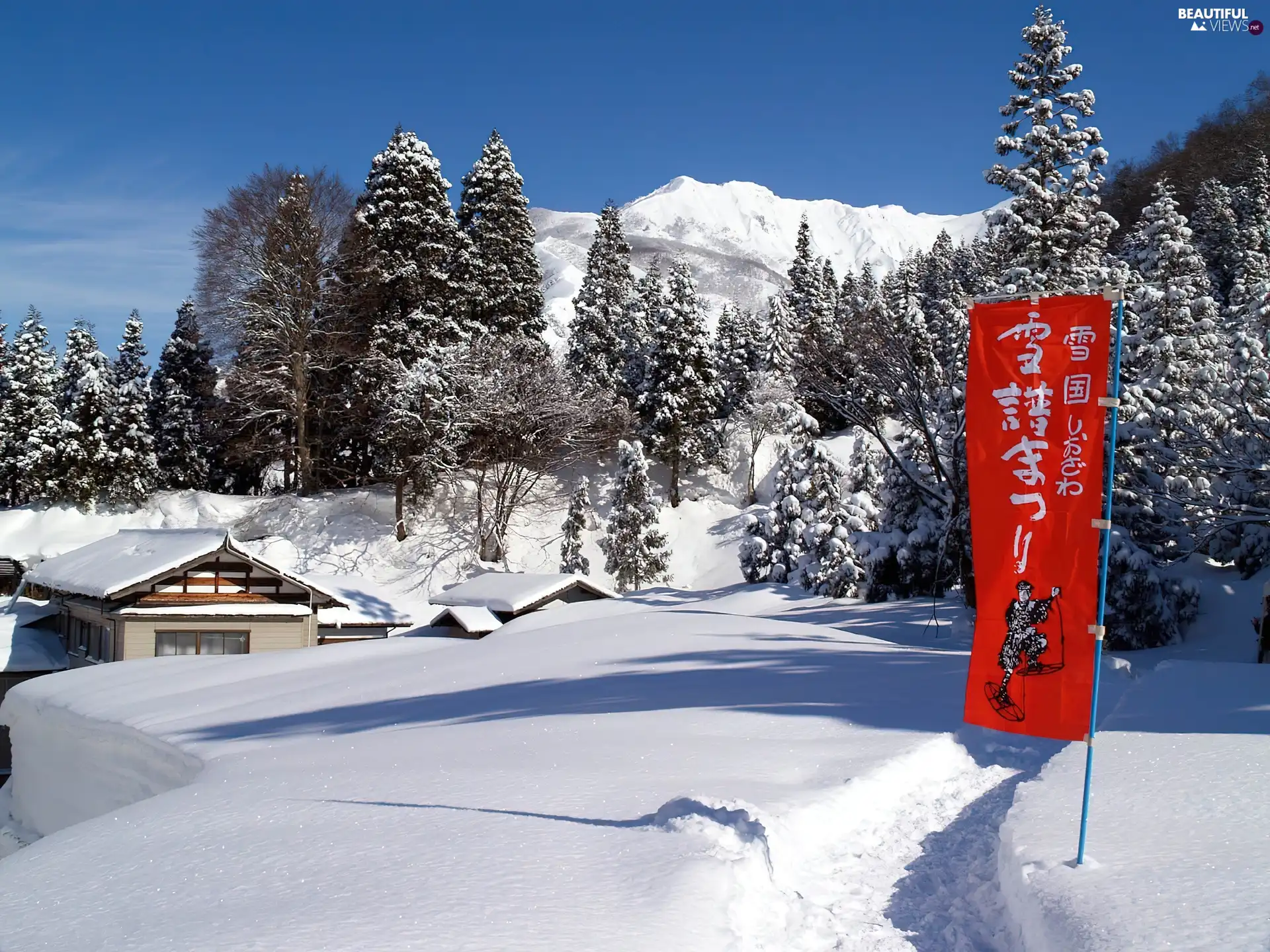 snow, trees, Sky, viewes, Mountains, many, winter, Houses