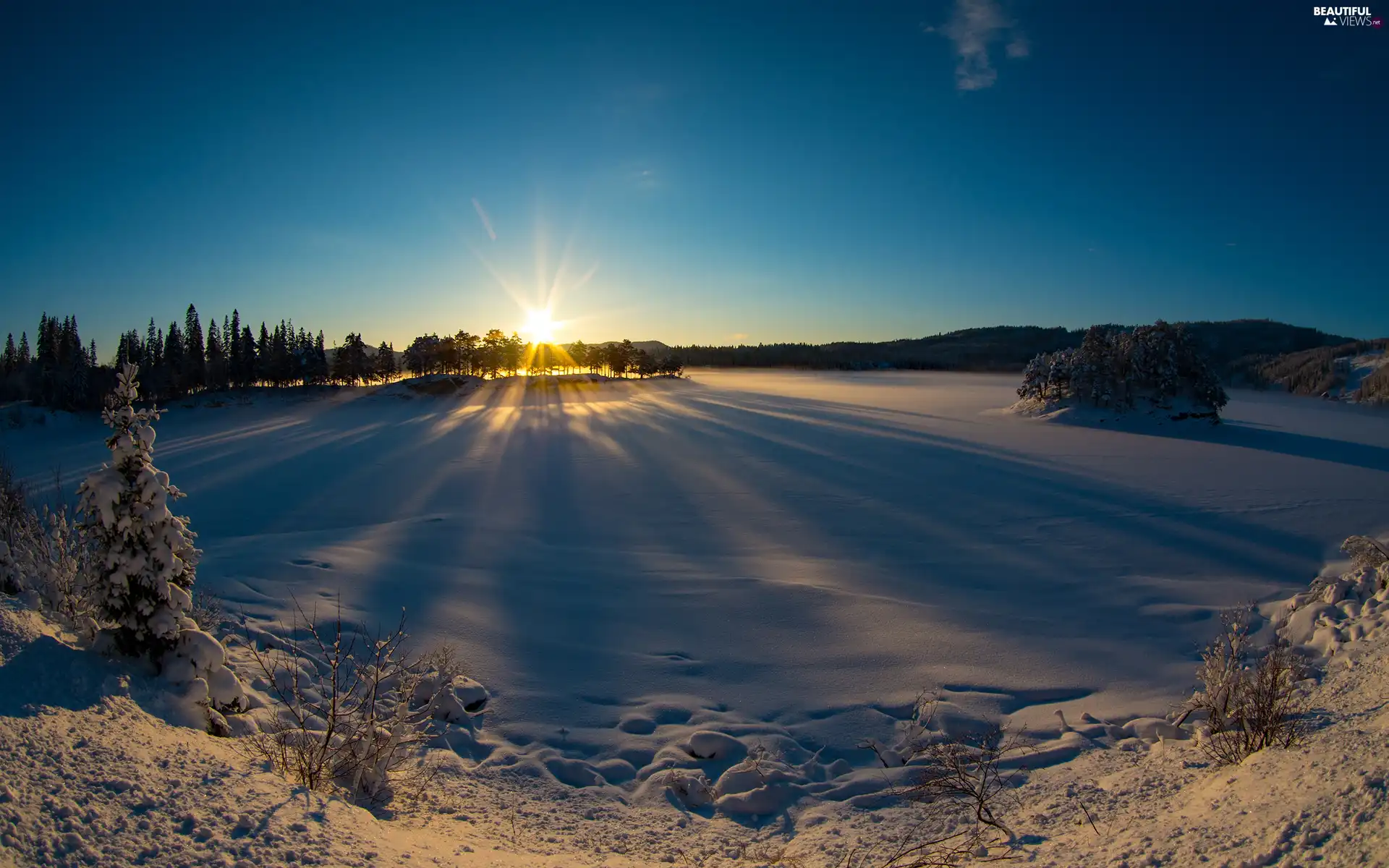 viewes, rays of the Sun, snow, trees, winter