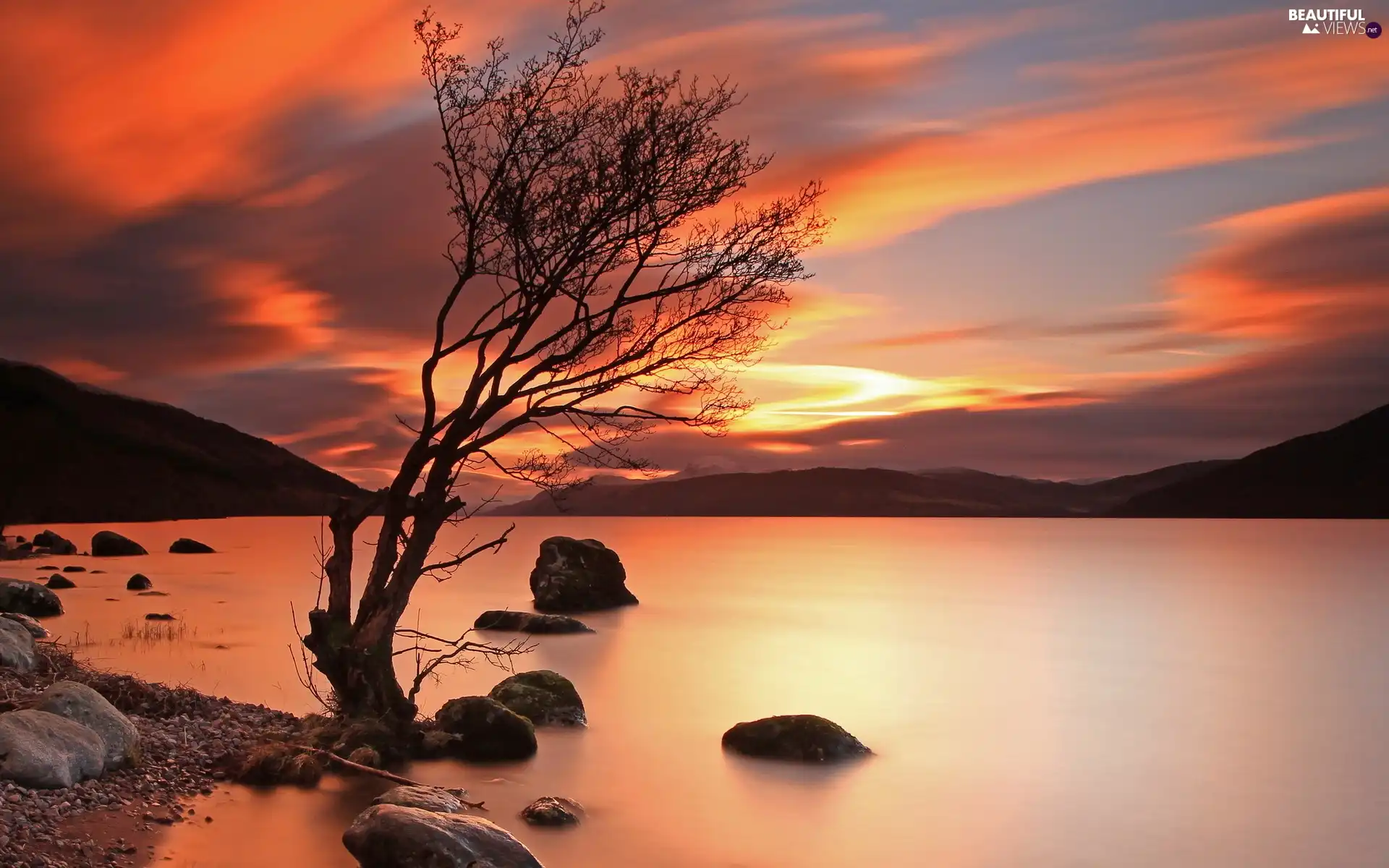 trees, Stones, west, sun, lake