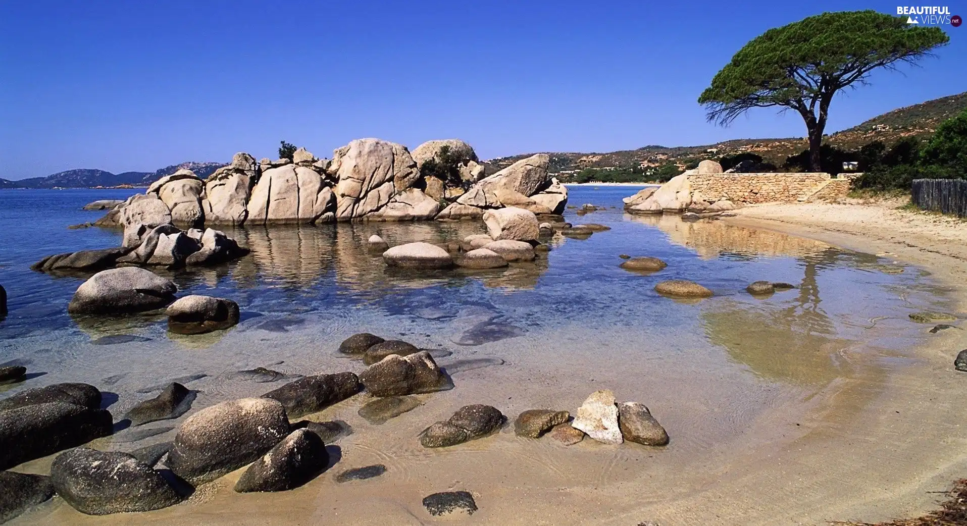 trees, lake, Stones