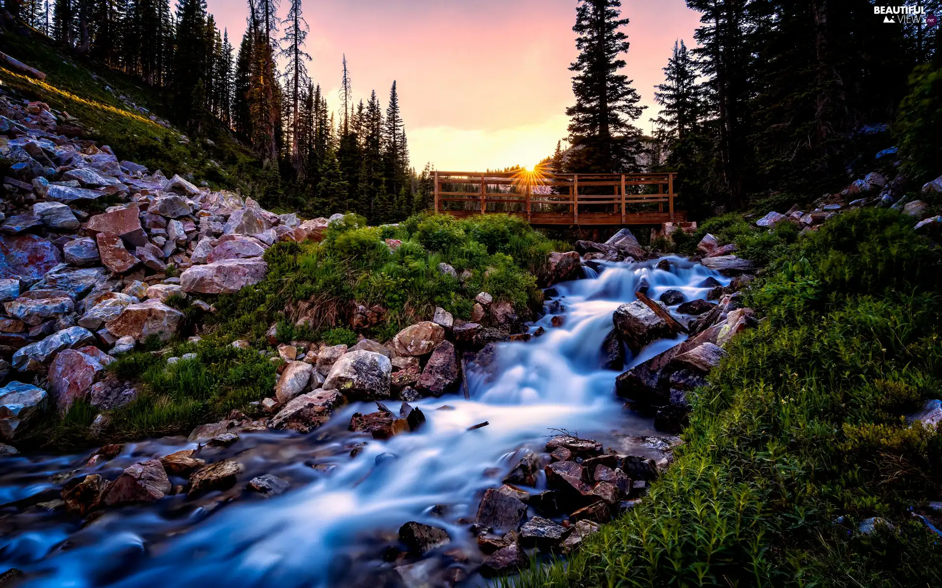 mossy, River, Stones, bridges, rays of the Sun, Plants, trees, viewes, forest