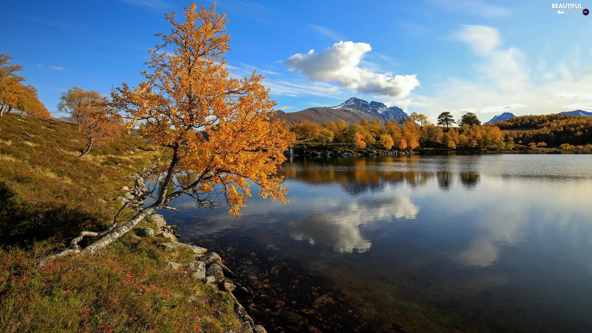 trees, viewes, Stones, inclined, Mountains, lake, autumn, trees
