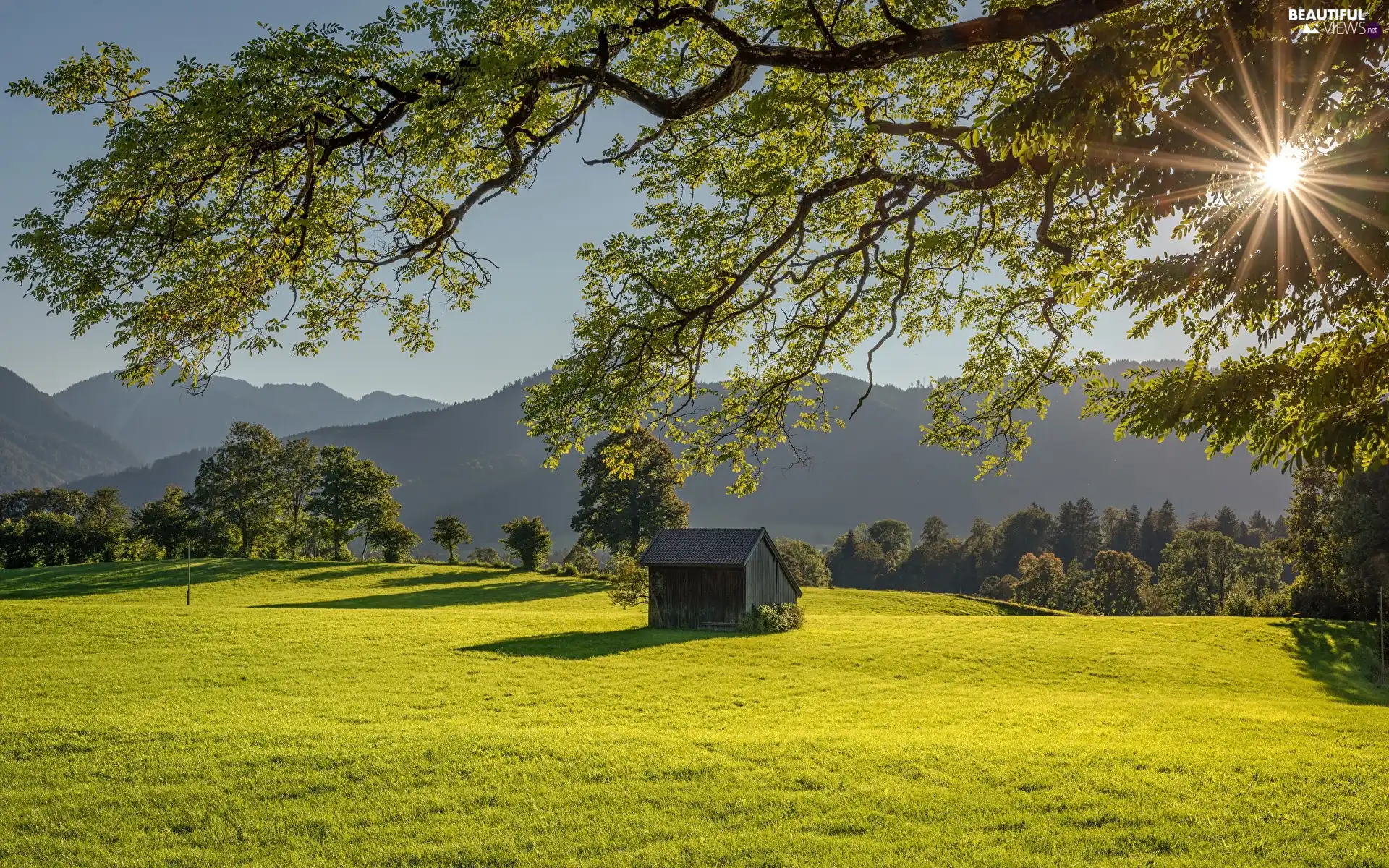 trees, Mountains, cote, rays of the Sun, viewes, Meadow