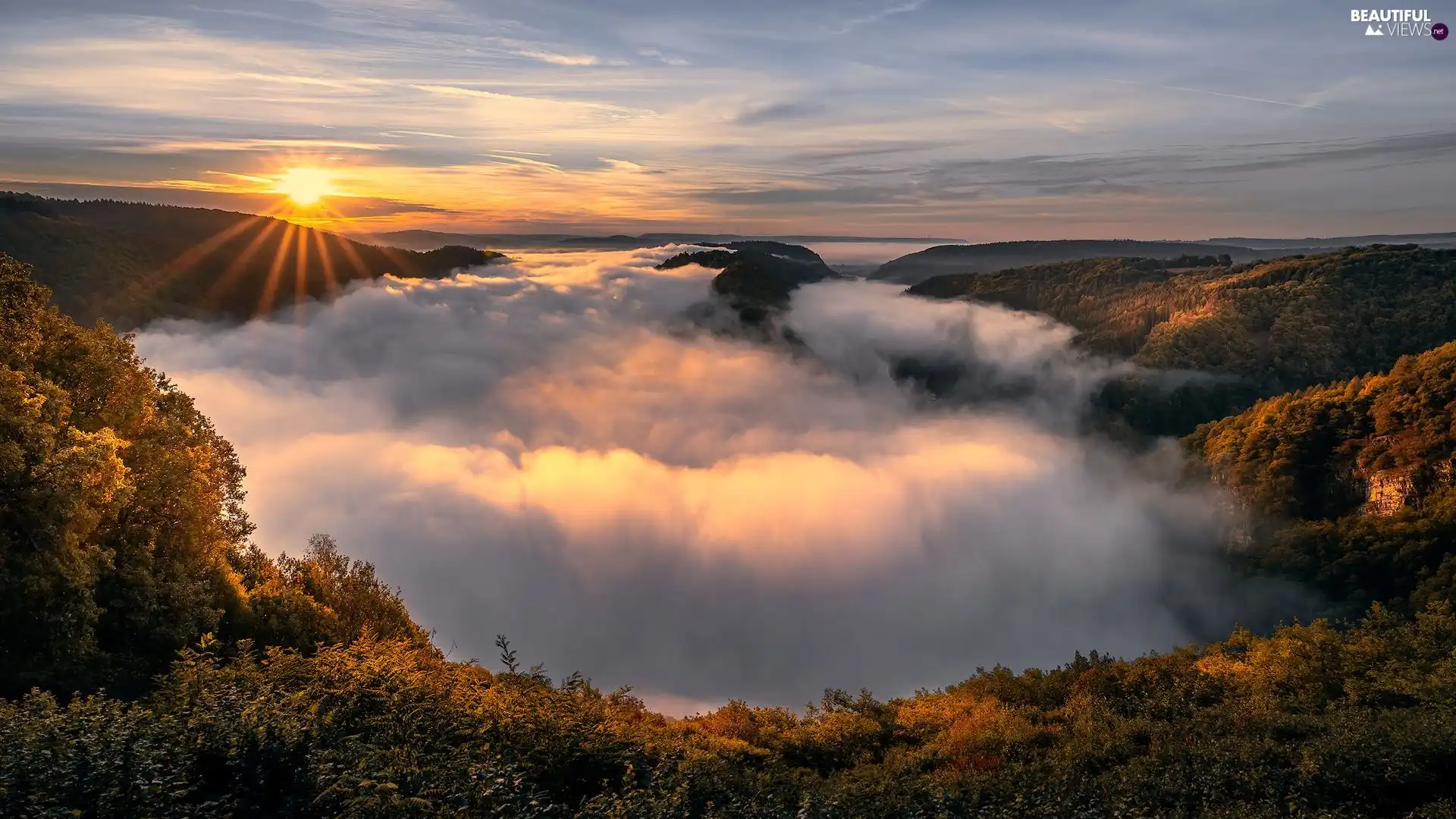 trees, Mountains, Fog, rays of the Sun, viewes, forest