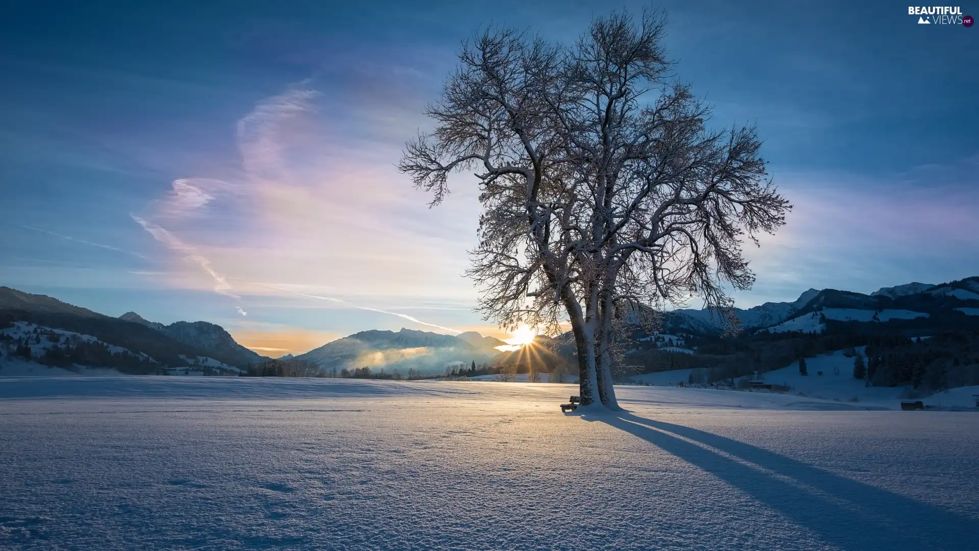 trees, winter, Bench, rays of the Sun, viewes, Mountains