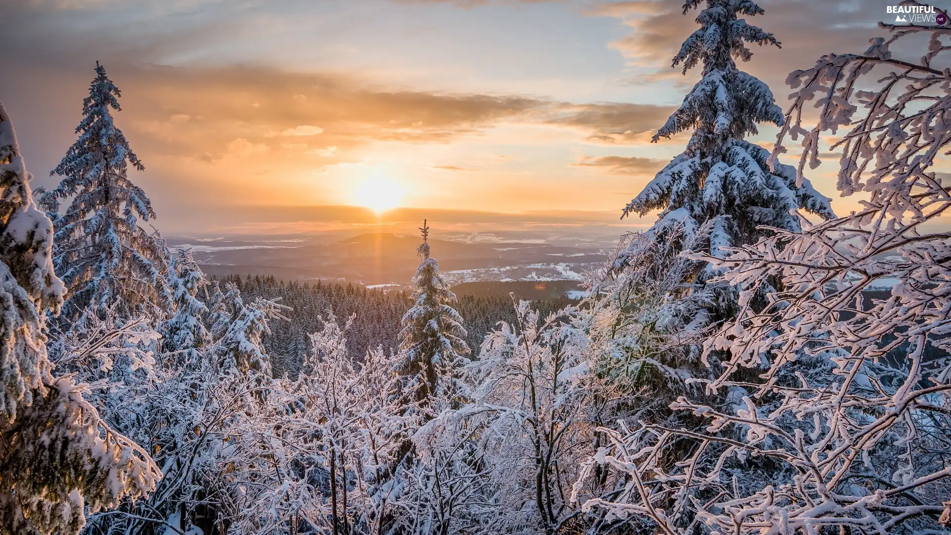 viewes, Mountains, Sunrise, trees, winter, forest, clouds