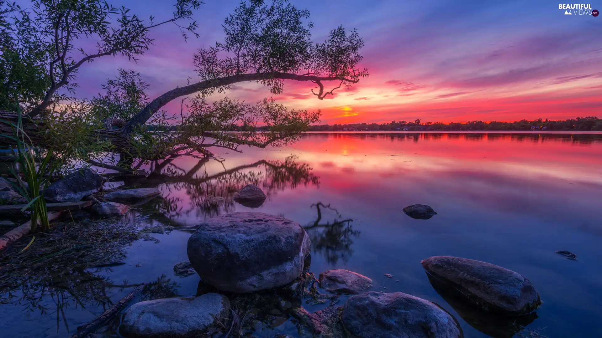 Stones, Great Sunsets, trees, branches, Sloping, lake