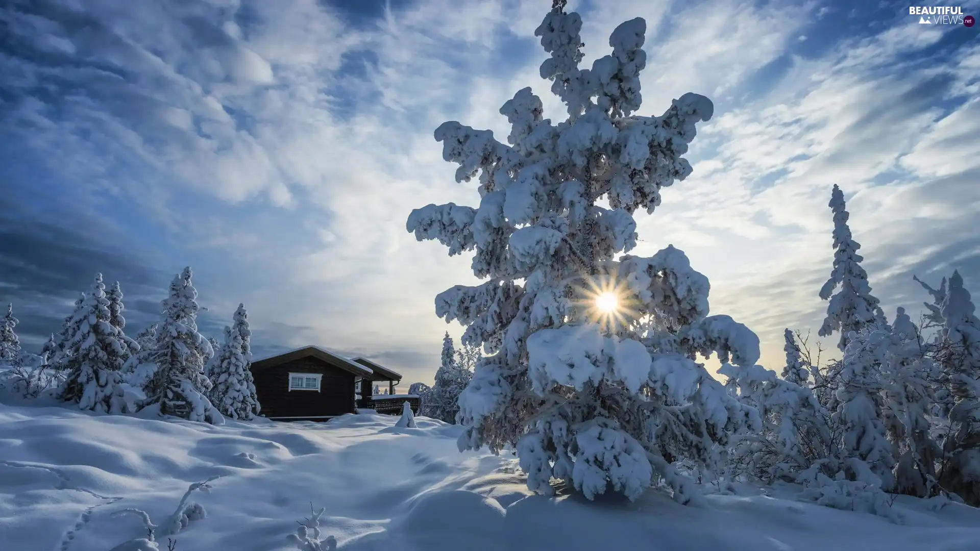 trees, house, clouds, Snowy, winter, viewes, rays of the Sun
