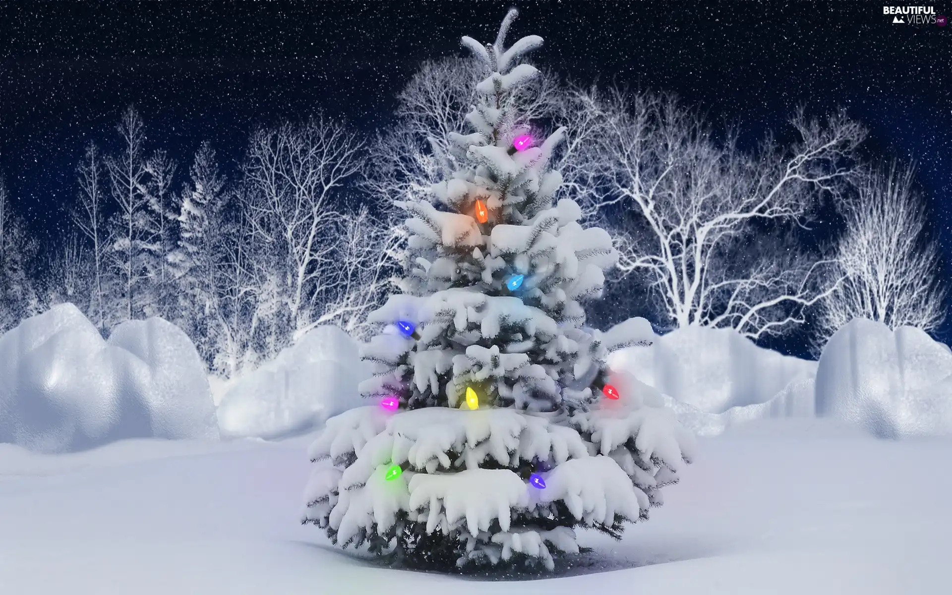 trees, illuminated, winter, festively decorated, viewes, christmas tree
