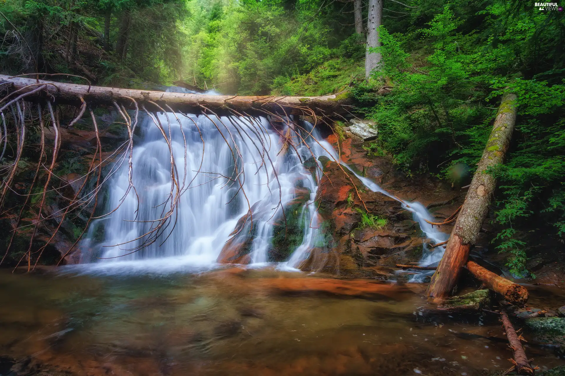 viewes, waterfall, fallen, trees, forest, trees