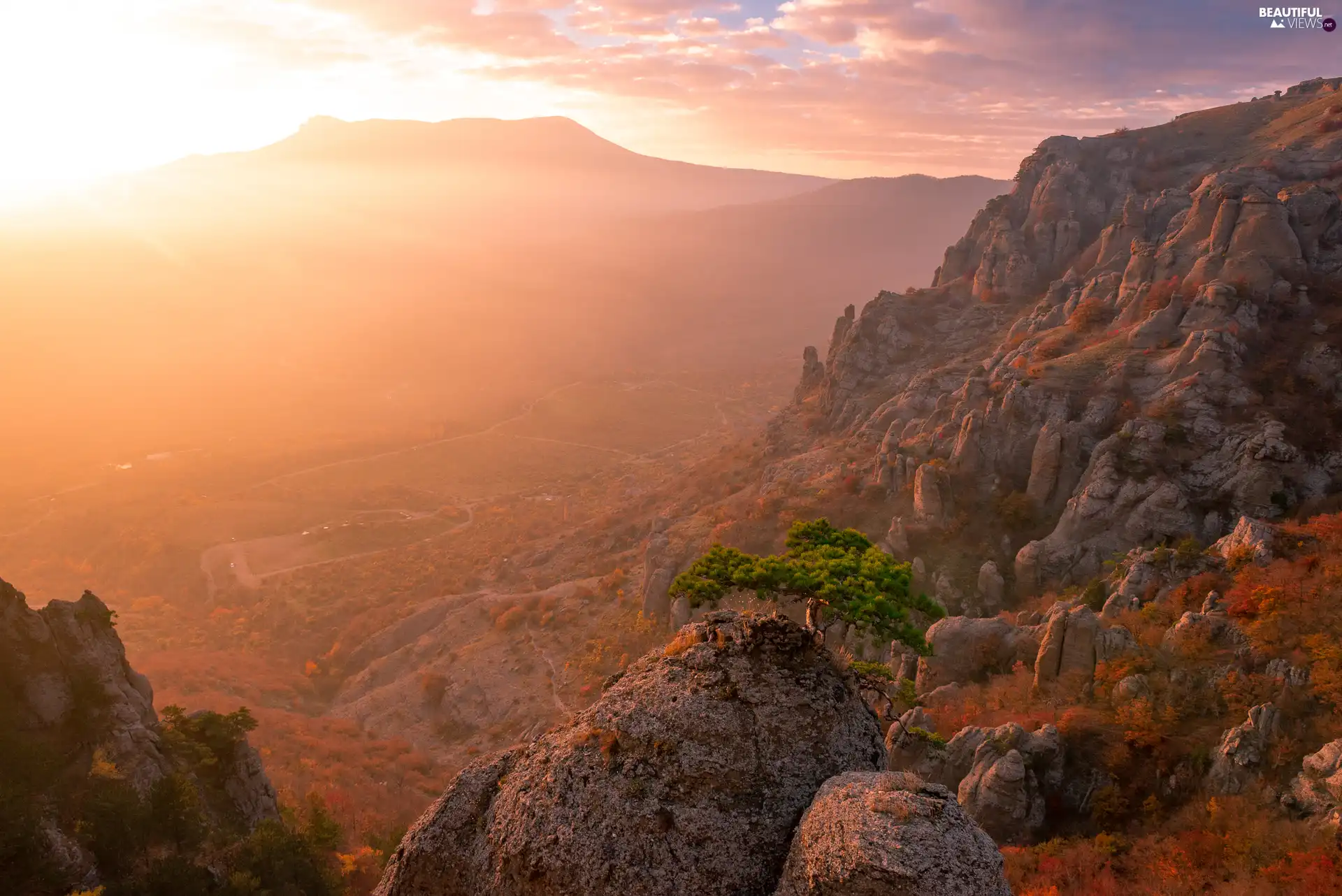 viewes, Mountains, Valley, trees, rocks, pine, Fog