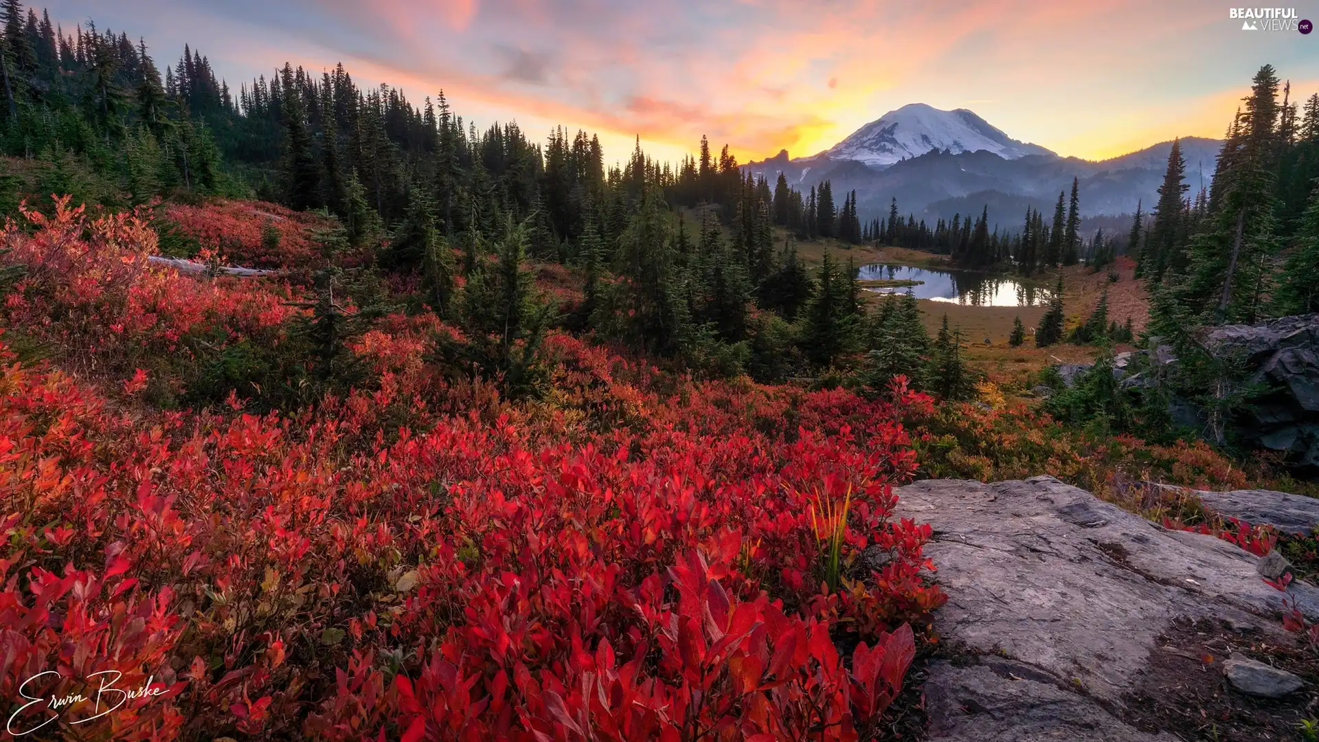 Mountains, The United States, lake, woods, viewes, VEGETATION, Coloured, Mount Rainier National Park, Washington State, rocks, trees