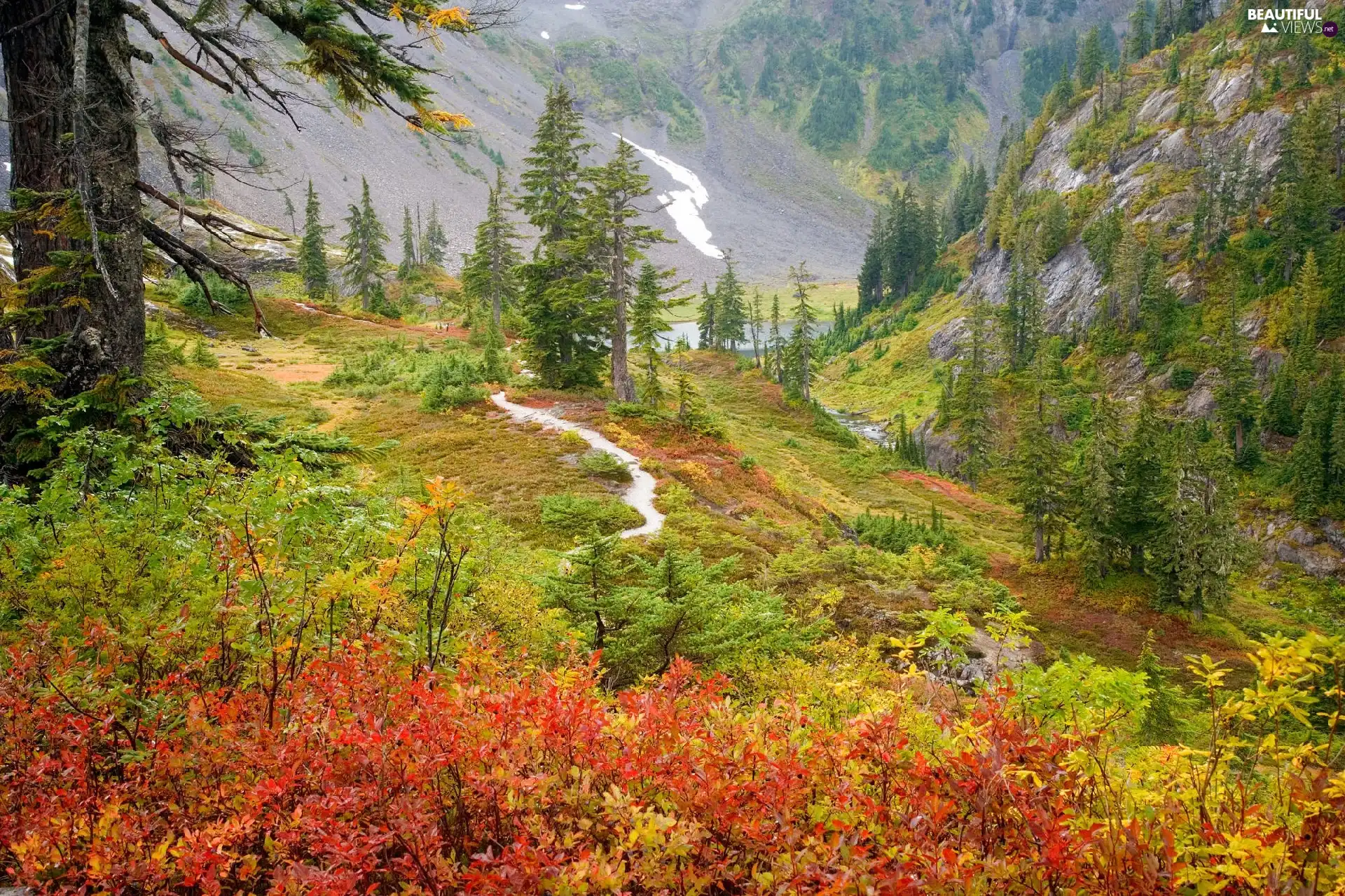 trees, viewes, Mountains, Path, autumn