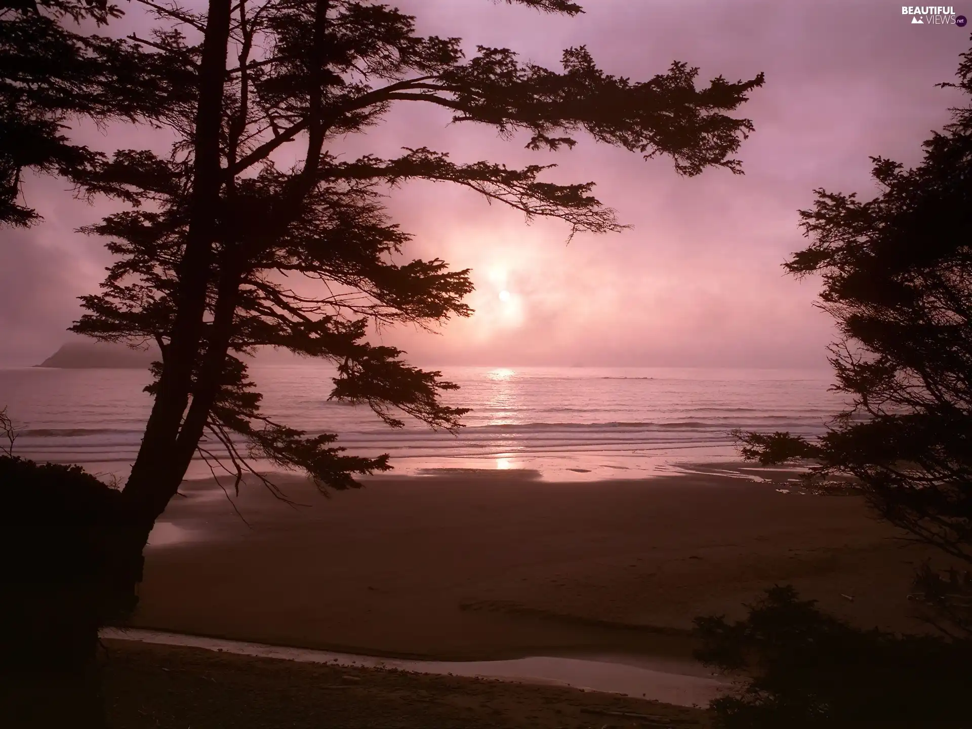 lake, west, trees, viewes, Beaches, sun