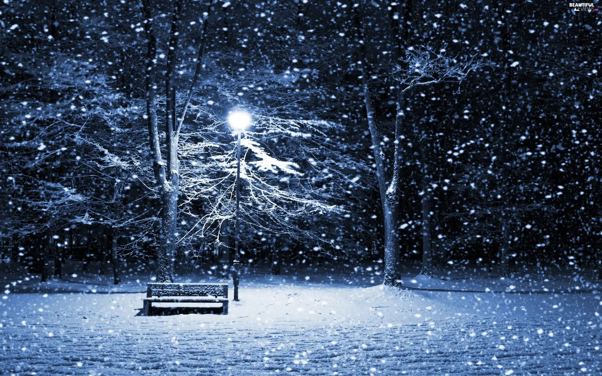 trees, viewes, snow, winter, Bench