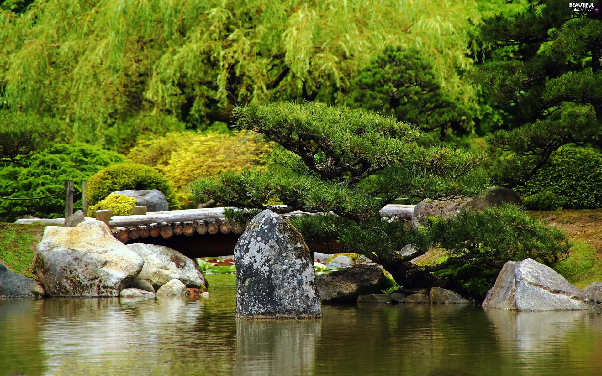 trees, viewes, rocks, bridges, brook