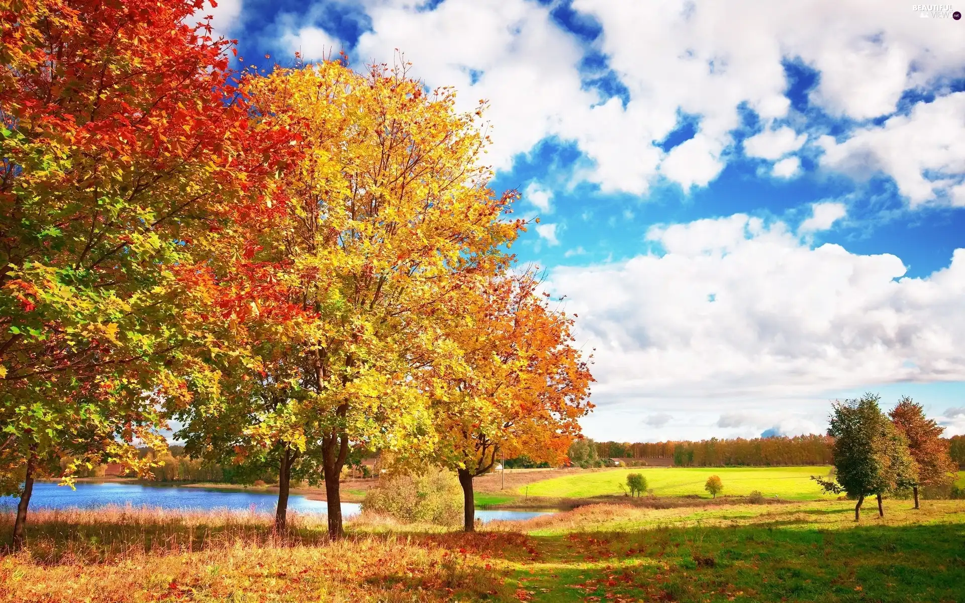 lake, autumn, trees, viewes, clouds, medows