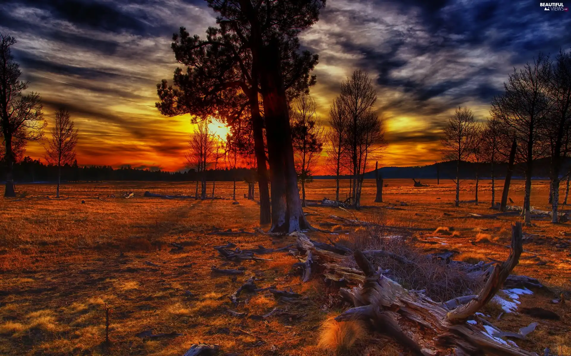 Sky, west, trees, viewes, clouds, Sun